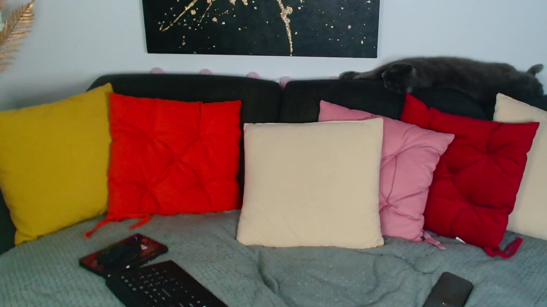Gallery image thumbnail from Rose__Heart's myfreecams stream on, 07/09/2025, 21:49 image 20 of 20
