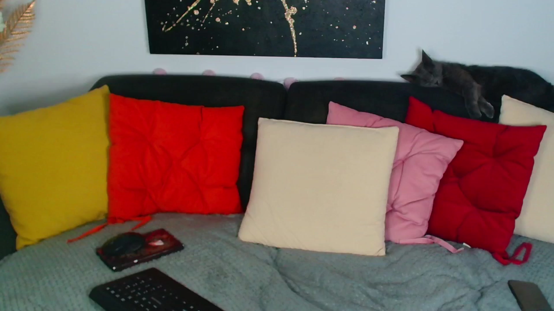 Gallery image thumbnail from Rose__Heart's myfreecams stream on, 07/09/2025, 23:53 image 12 of 20