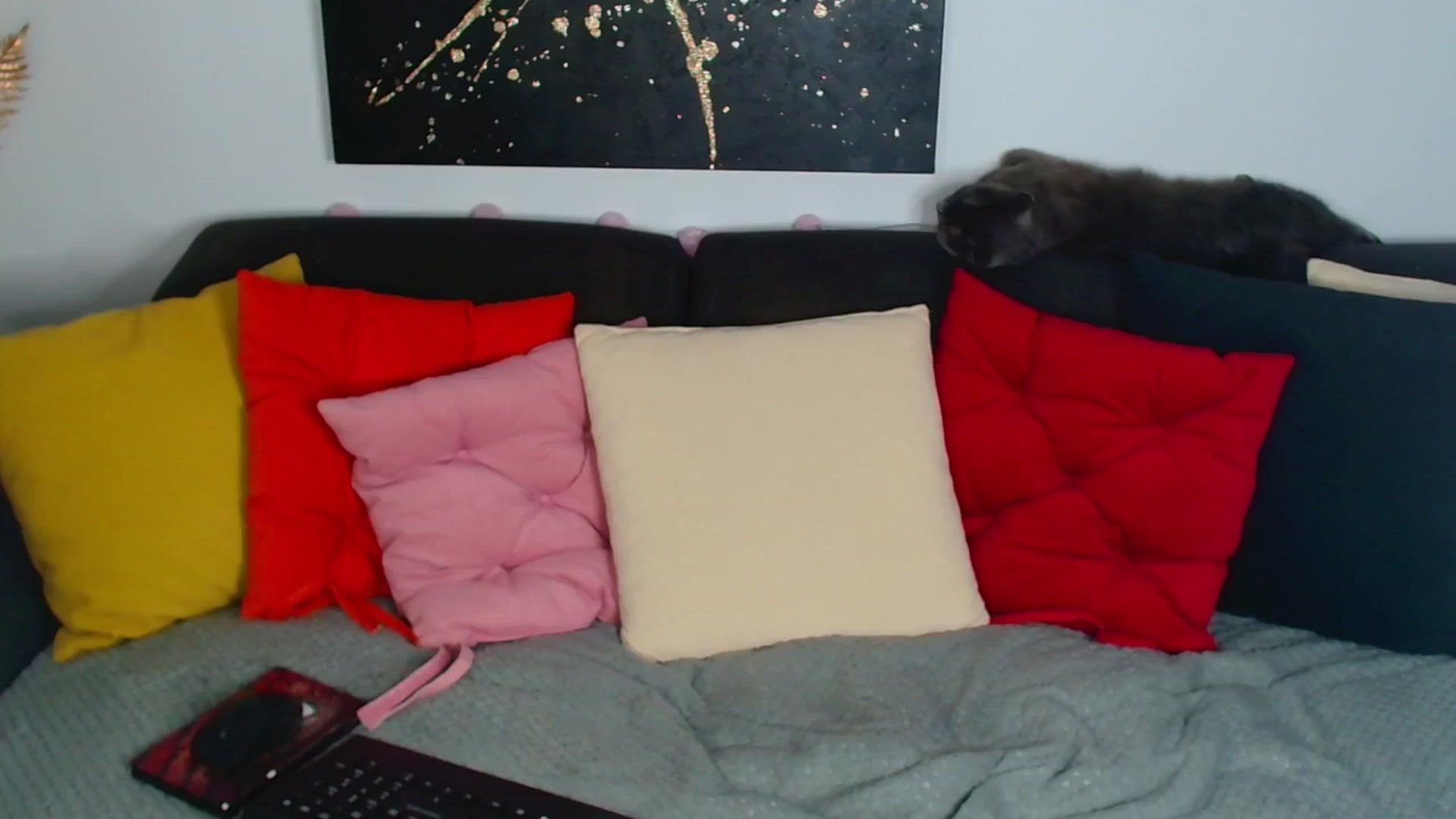 Gallery image thumbnail from Rose__Heart's myfreecams stream on, 07/17/2025, 24:02 image 7 of 20