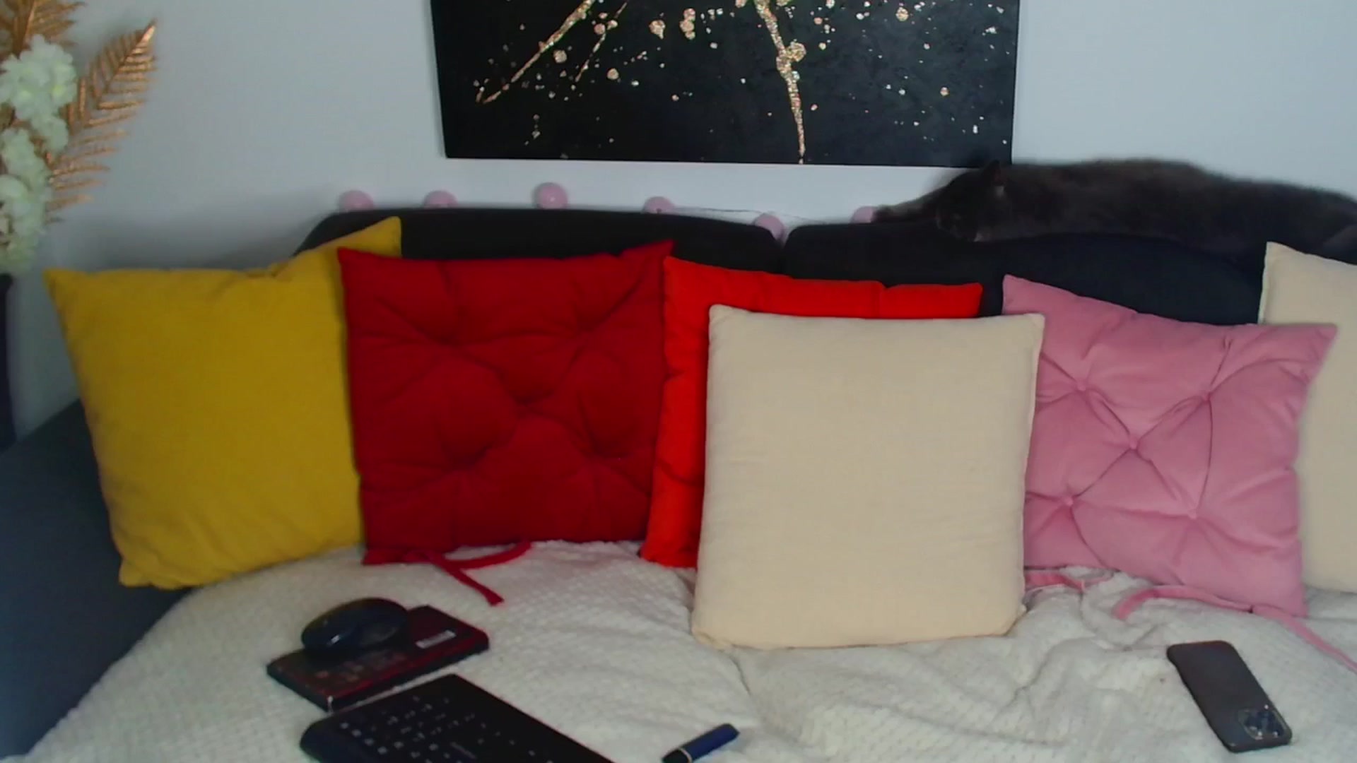 Gallery image thumbnail from Rose__Heart's myfreecams stream on, 07/25/2025, 21:42 image 15 of 20