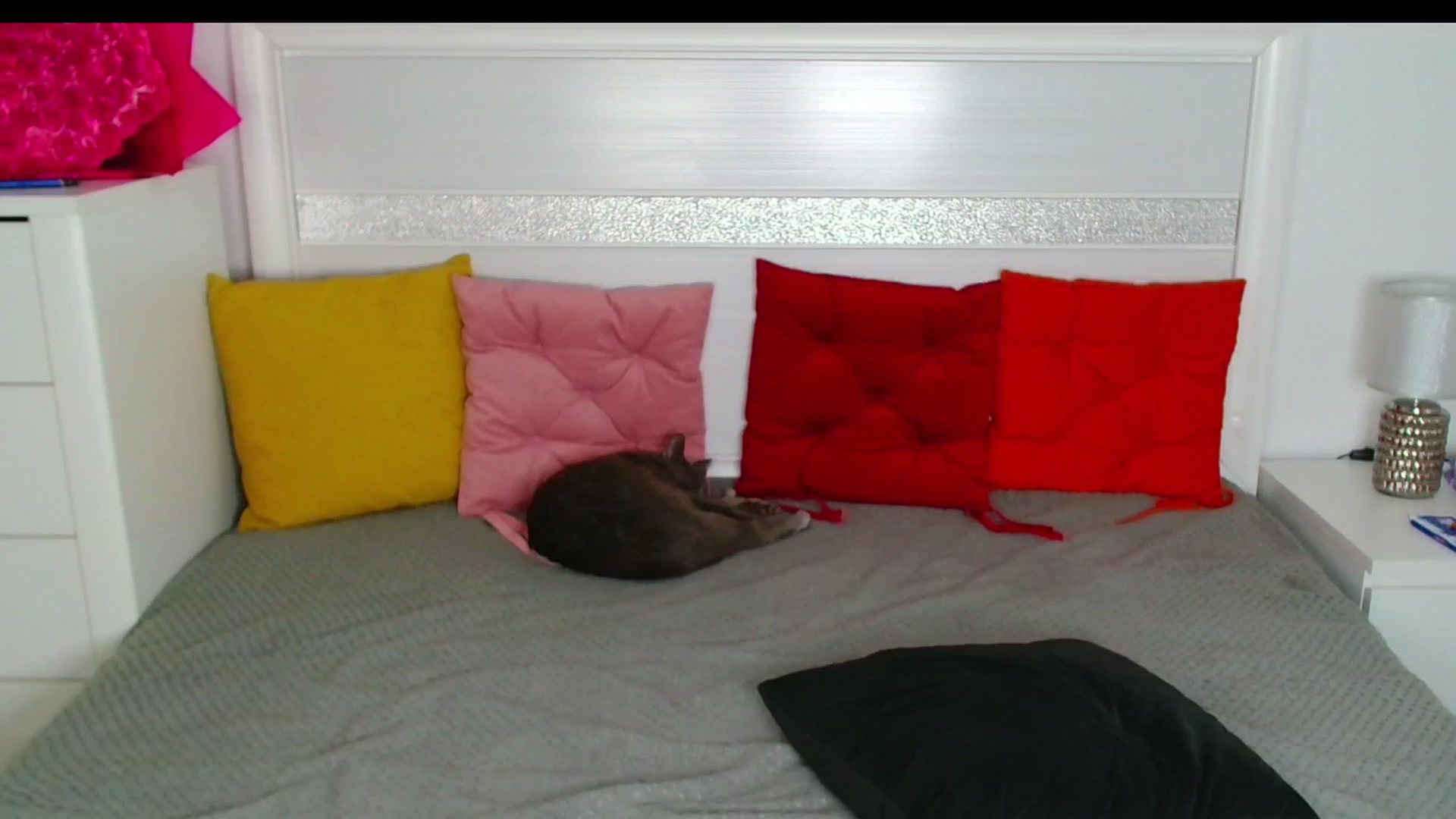 Gallery image thumbnail from Rose__Heart's myfreecams stream on, 03/12/2026, 01:26 image 11 of 20