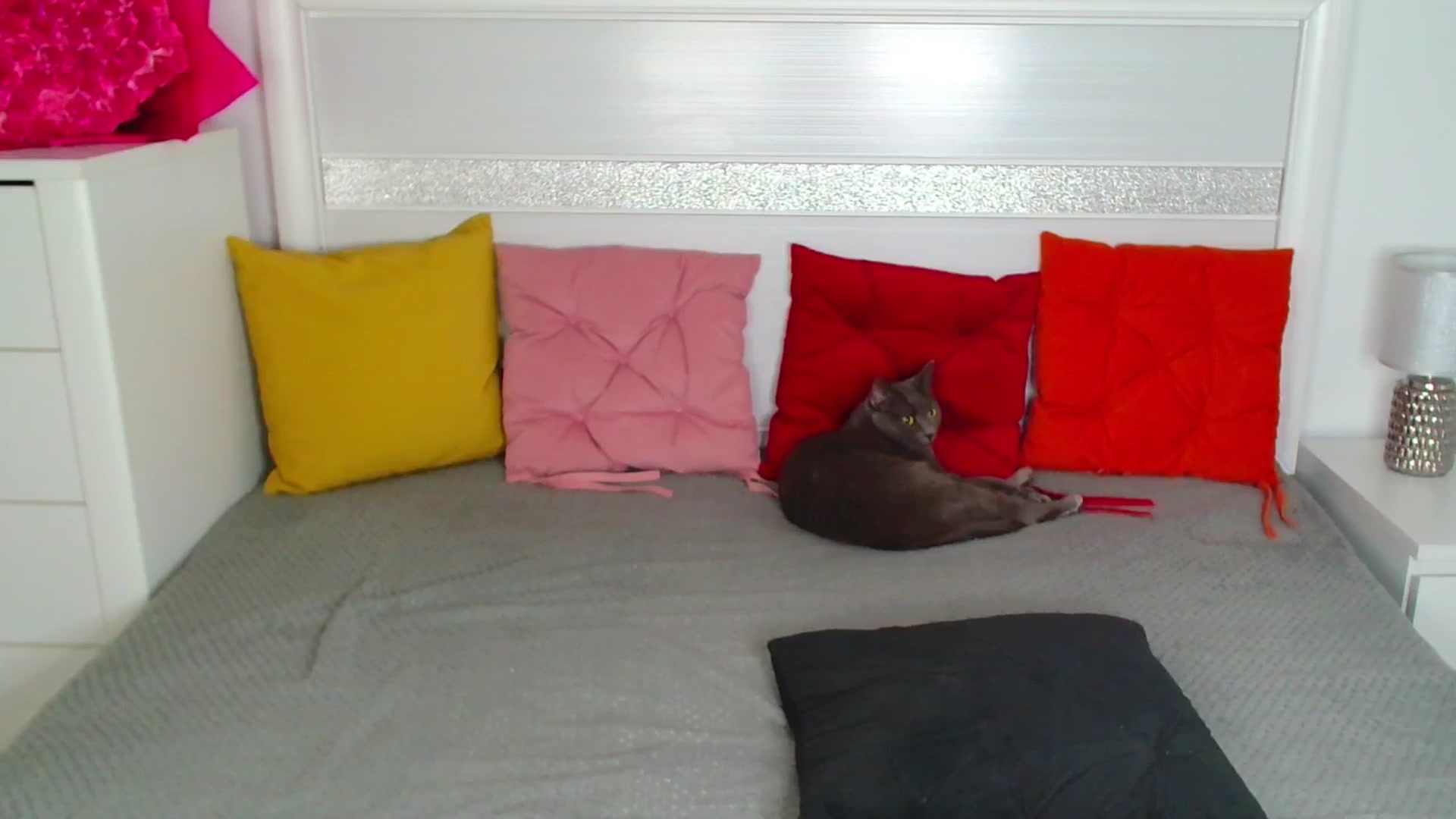 Gallery image thumbnail from Rose__Heart's myfreecams stream on, 04/07/2026, 21:41 image 7 of 20