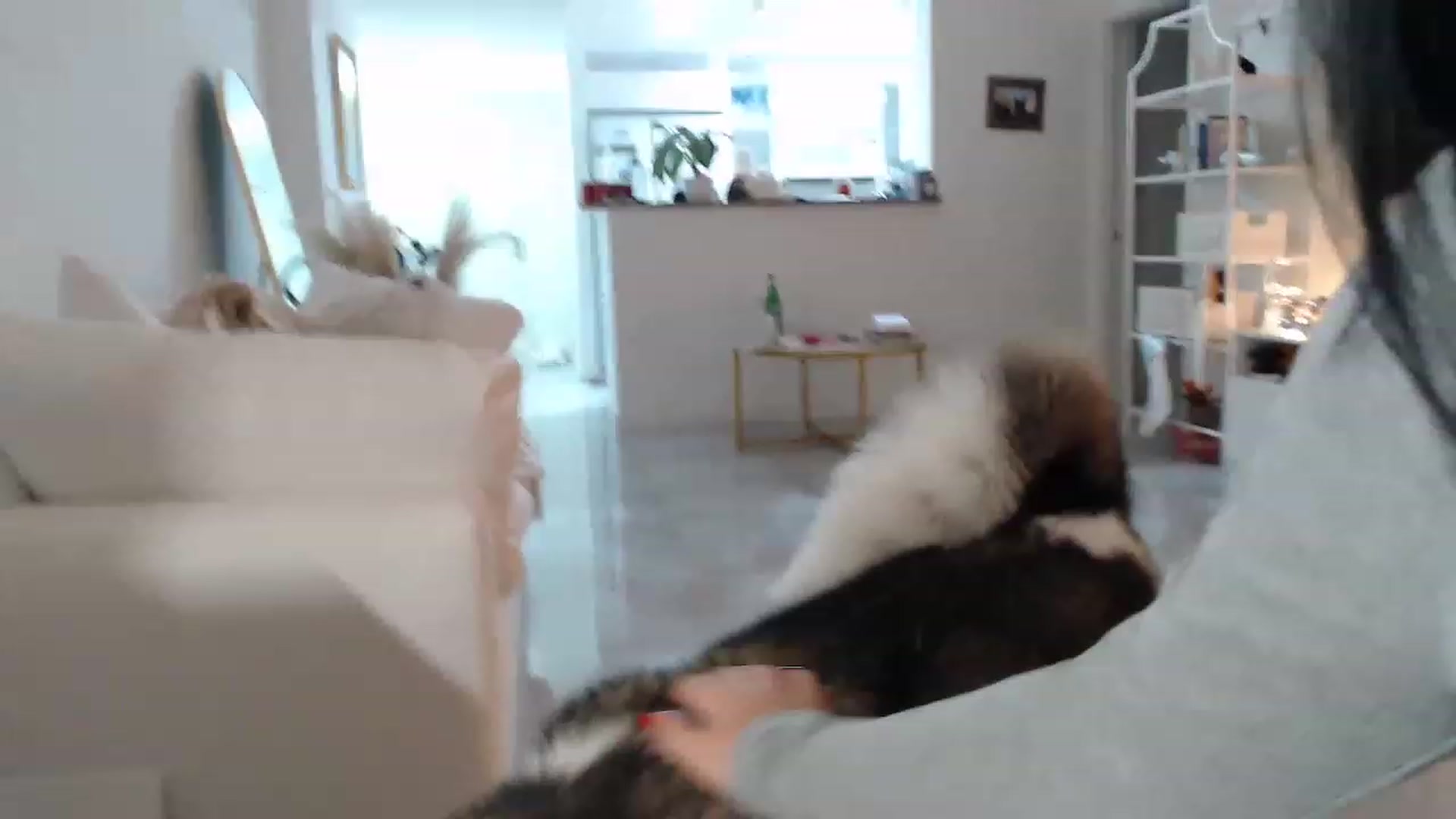 Gallery image thumbnail from Rosesforana's myfreecams stream on, 12/21/2022, 04:14 image 16 of 20