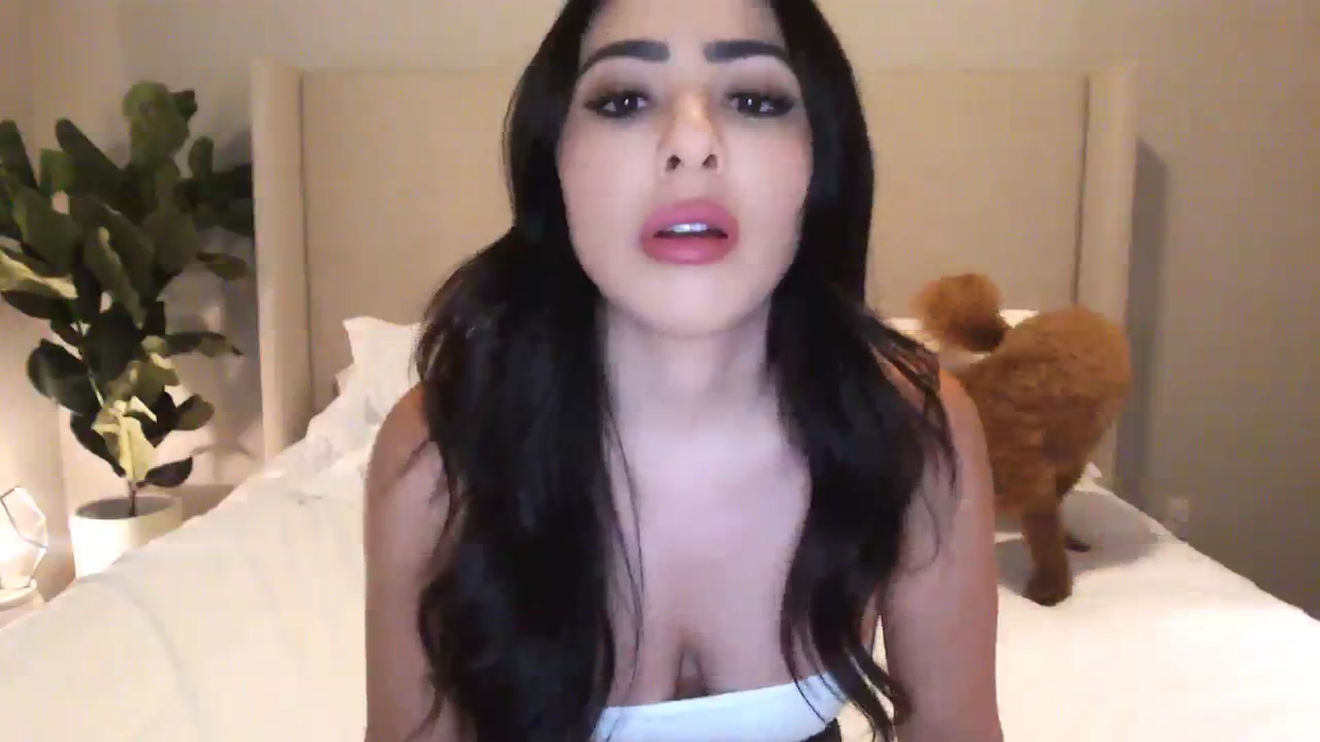 Gallery image thumbnail from Rosesxo's myfreecams stream on, 08/07/2023, 24:01 image 11 of 20