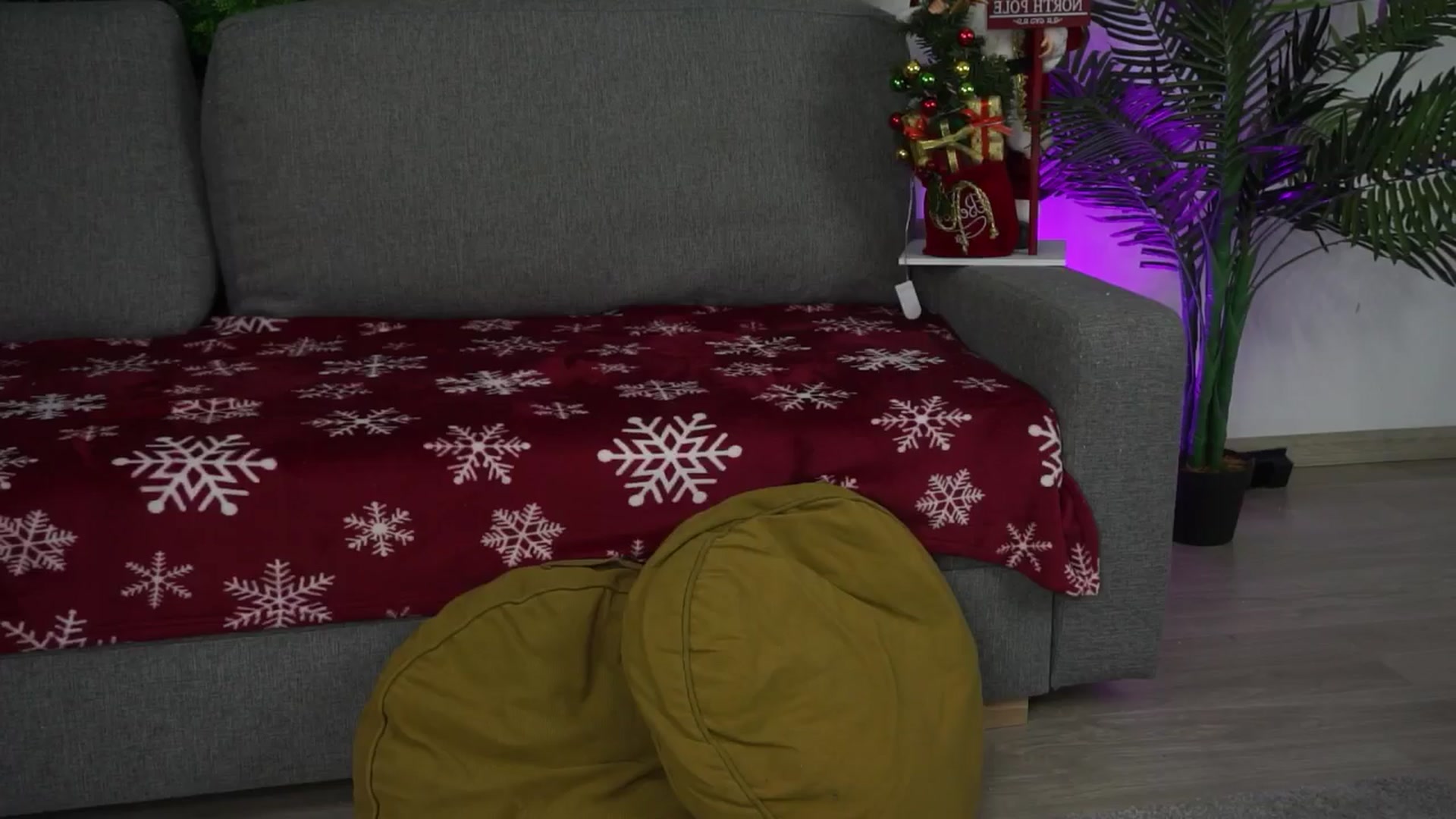 Gallery image thumbnail from Roshen_amira's myfreecams stream on, 12/31/2025, 13:09 image 15 of 20