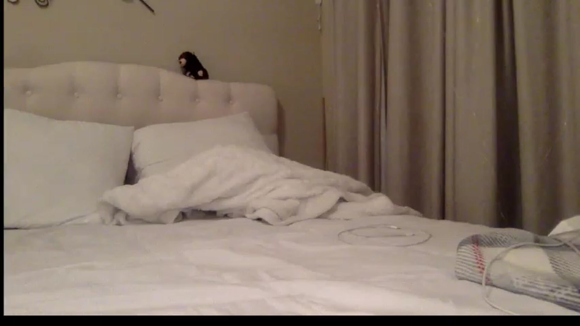 Gallery image thumbnail from Rosiexluv22's myfreecams stream on, 05/31/2023, 06:16 image 18 of 20