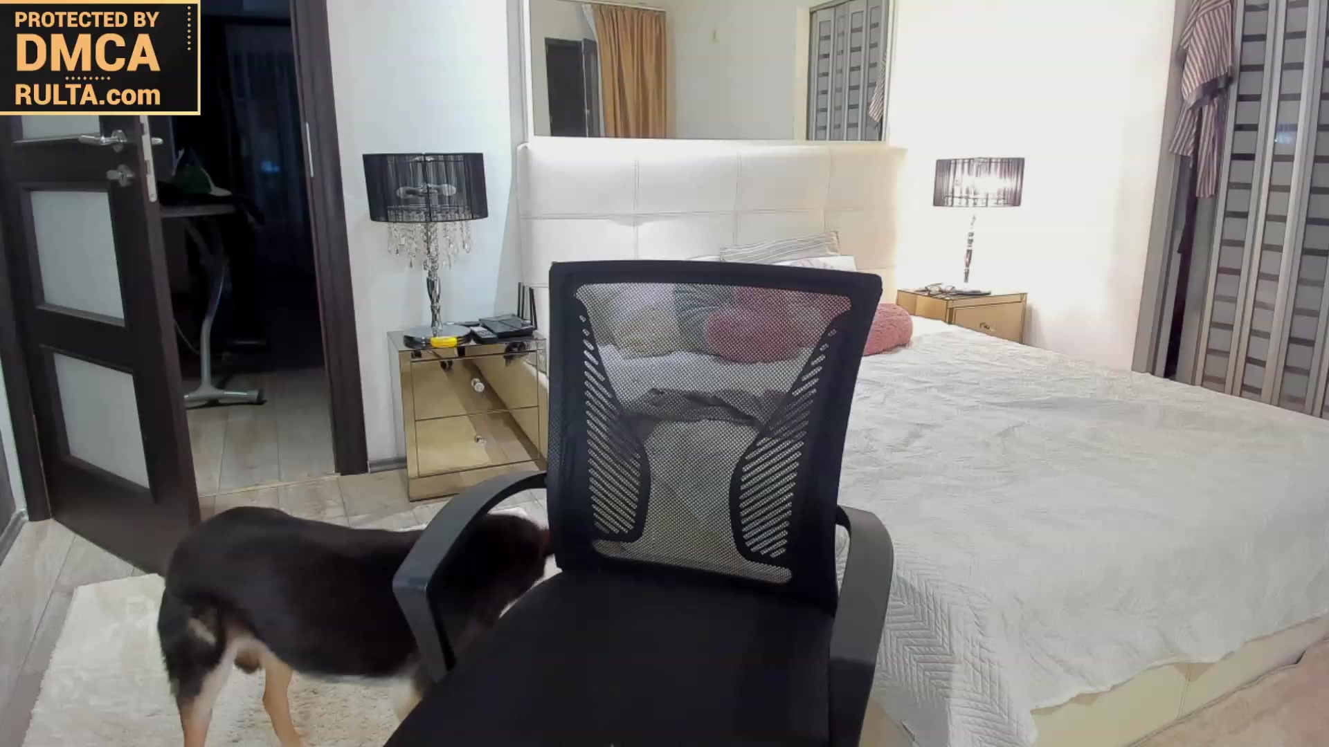 Gallery image thumbnail from Roxi777's myfreecams stream on, 09/23/2023, 22:11 image 3 of 20