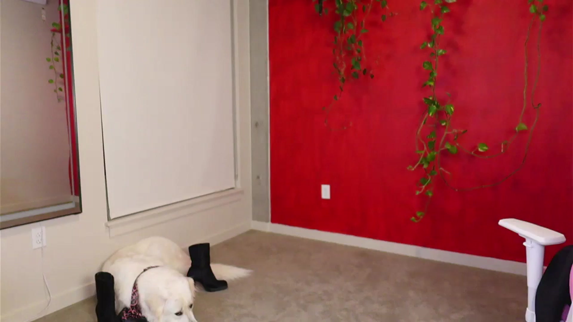 Gallery image thumbnail from RoyalBunny's myfreecams stream on, 10/12/2023, 11:50 image 9 of 20