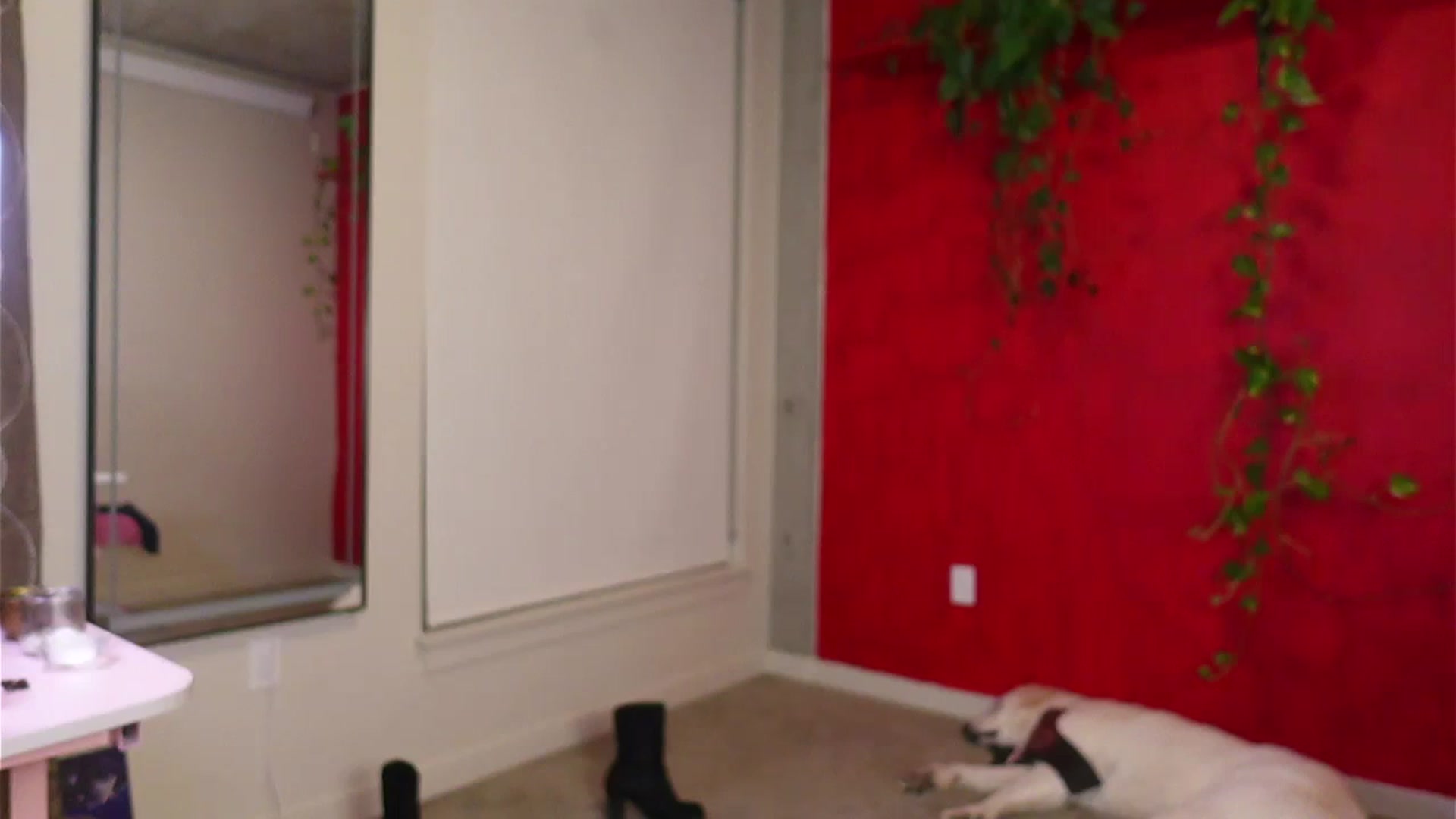 Gallery image thumbnail from RoyalBunny's myfreecams stream on, 10/12/2023, 12:12 image 18 of 20