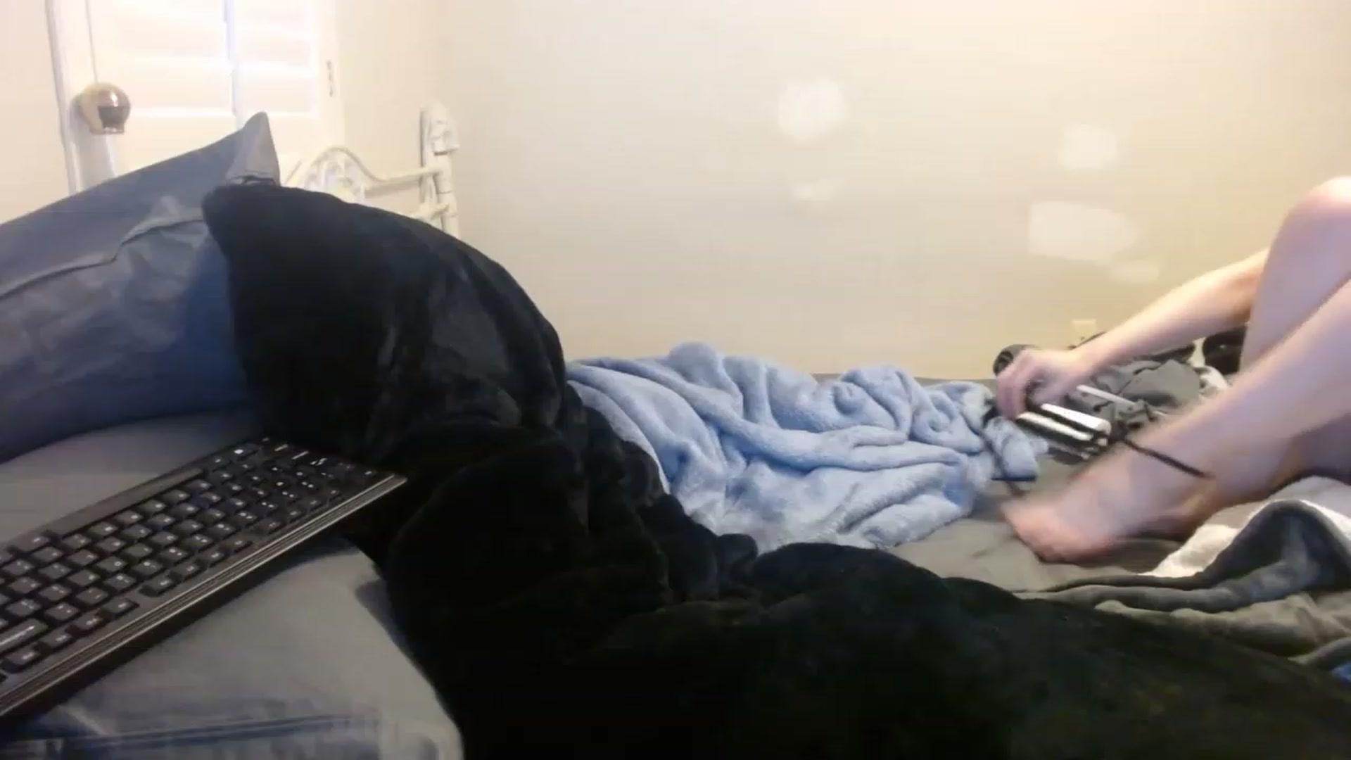 Gallery image thumbnail from Royalfwush's myfreecams stream on, 04/30/2023, 13:15 image 15 of 20