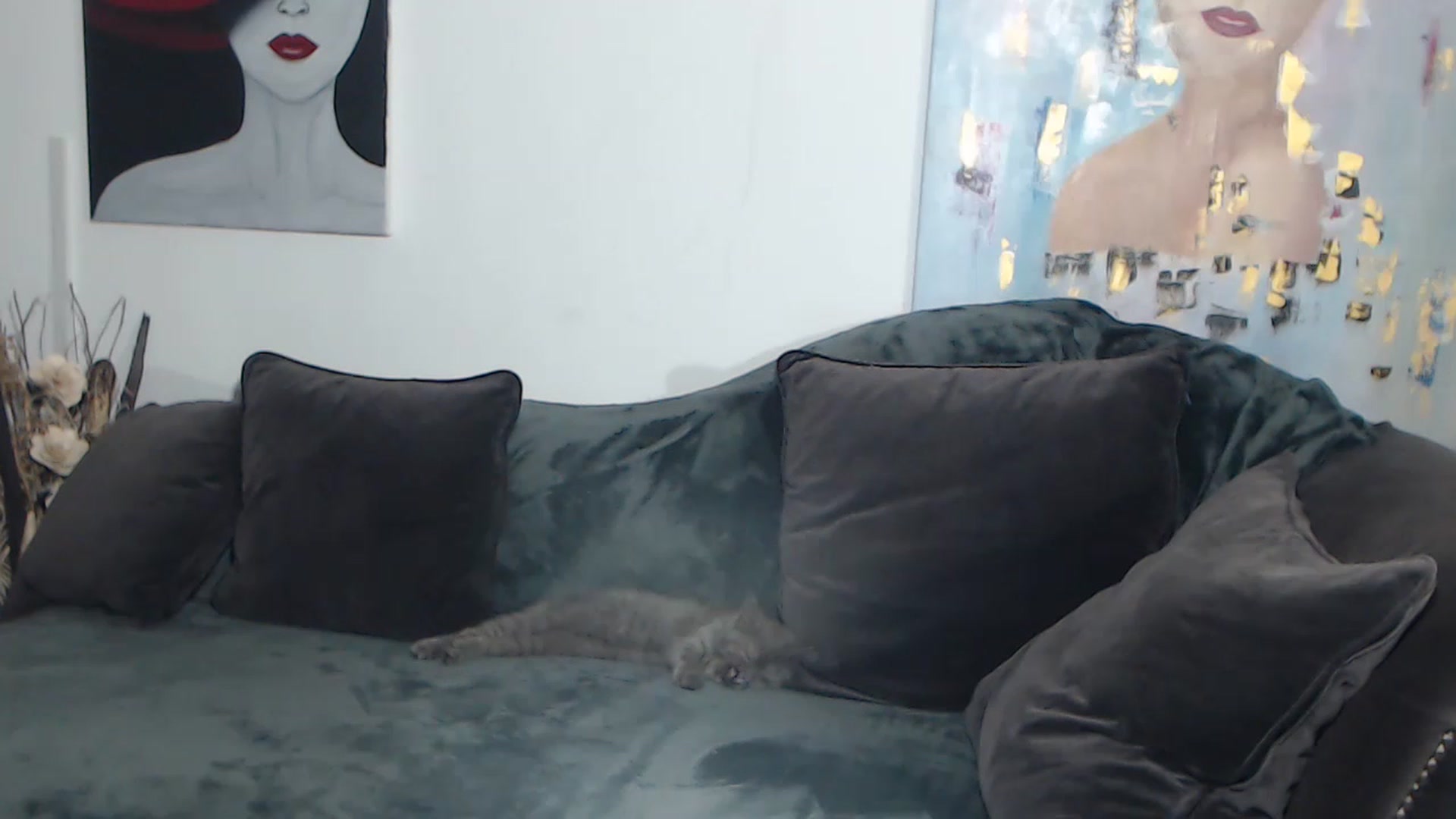Gallery image thumbnail from RrrBecca's myfreecams stream on, 01/26/2023, 14:38 image 6 of 20