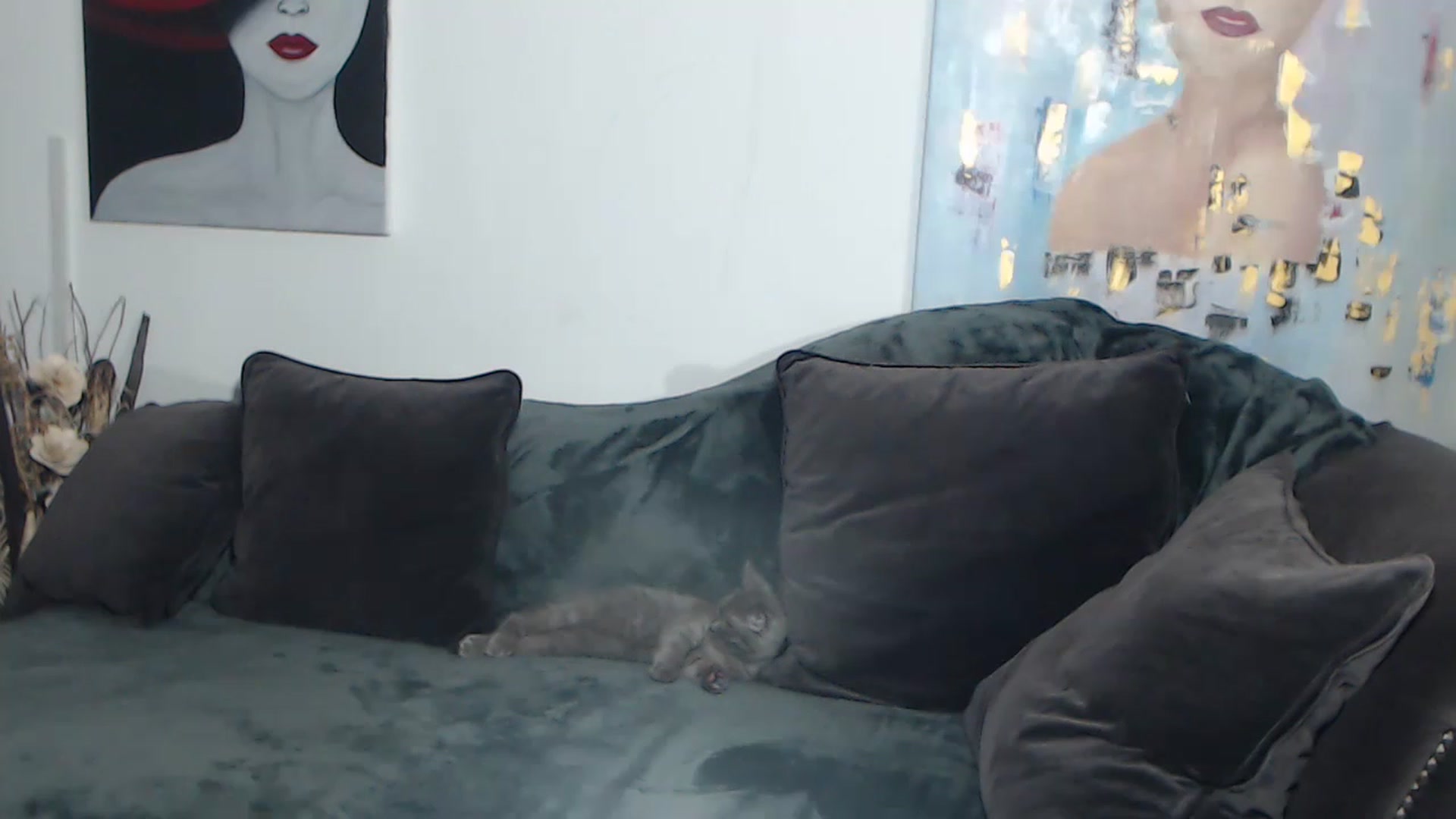 Gallery image thumbnail from RrrBecca's myfreecams stream on, 01/26/2023, 14:38 image 5 of 20