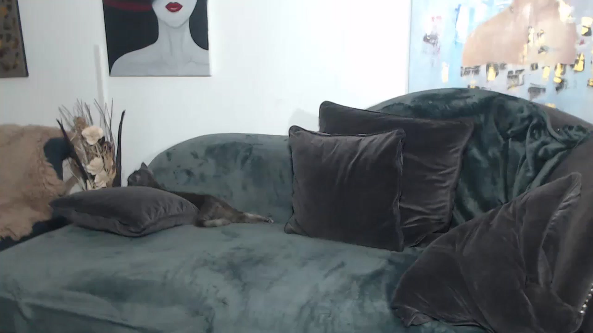 Gallery image thumbnail from RrrBecca's myfreecams stream on, 02/23/2023, 17:13 image 15 of 20