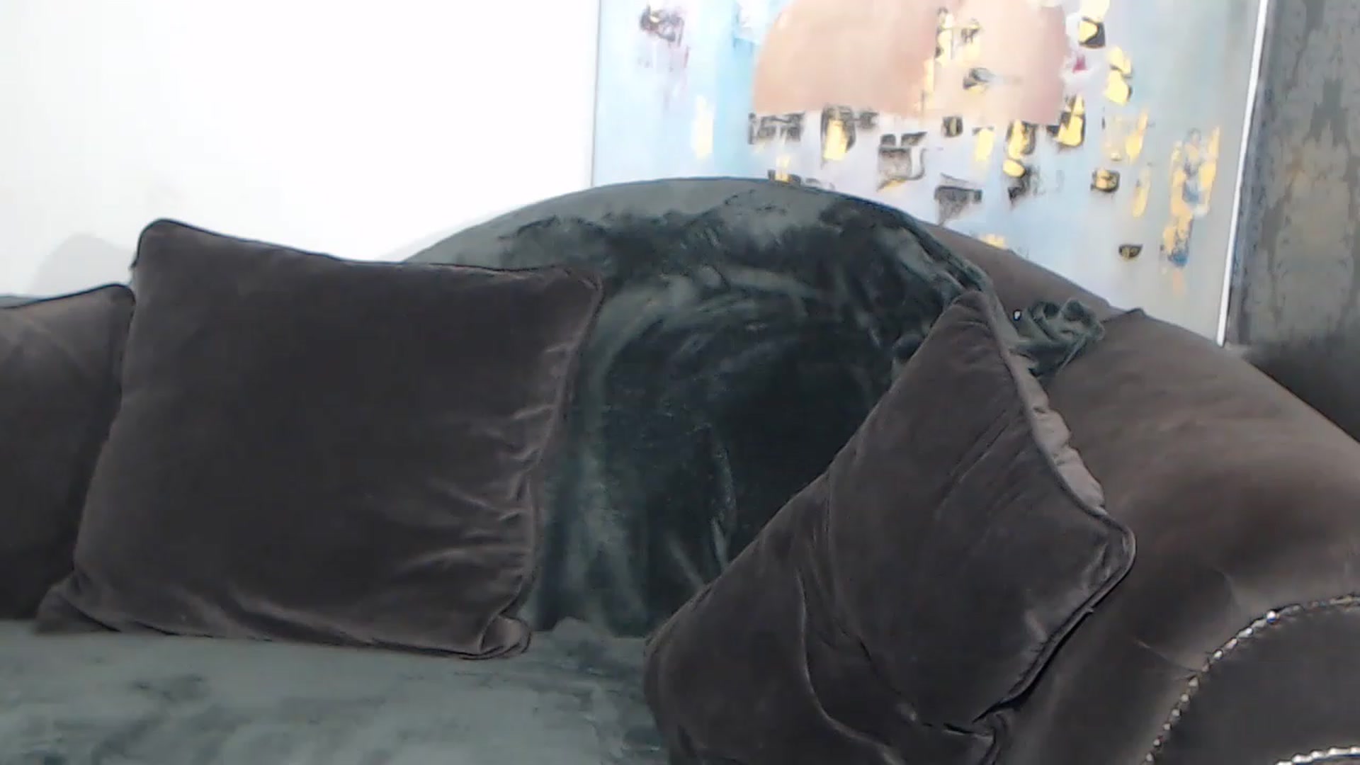 Gallery image thumbnail from RrrBecca's myfreecams stream on, 02/27/2023, 17:42 image 17 of 20