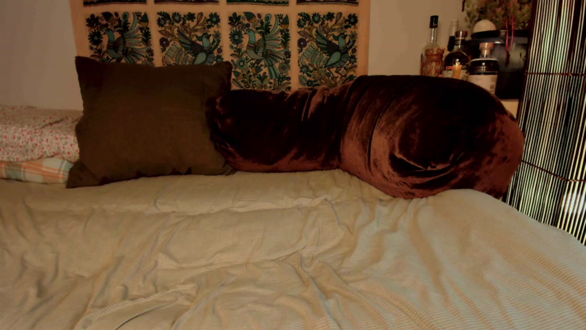 Gallery image thumbnail from RubyRosa's myfreecams stream on, 01/04/2023, 04:03 image 7 of 20