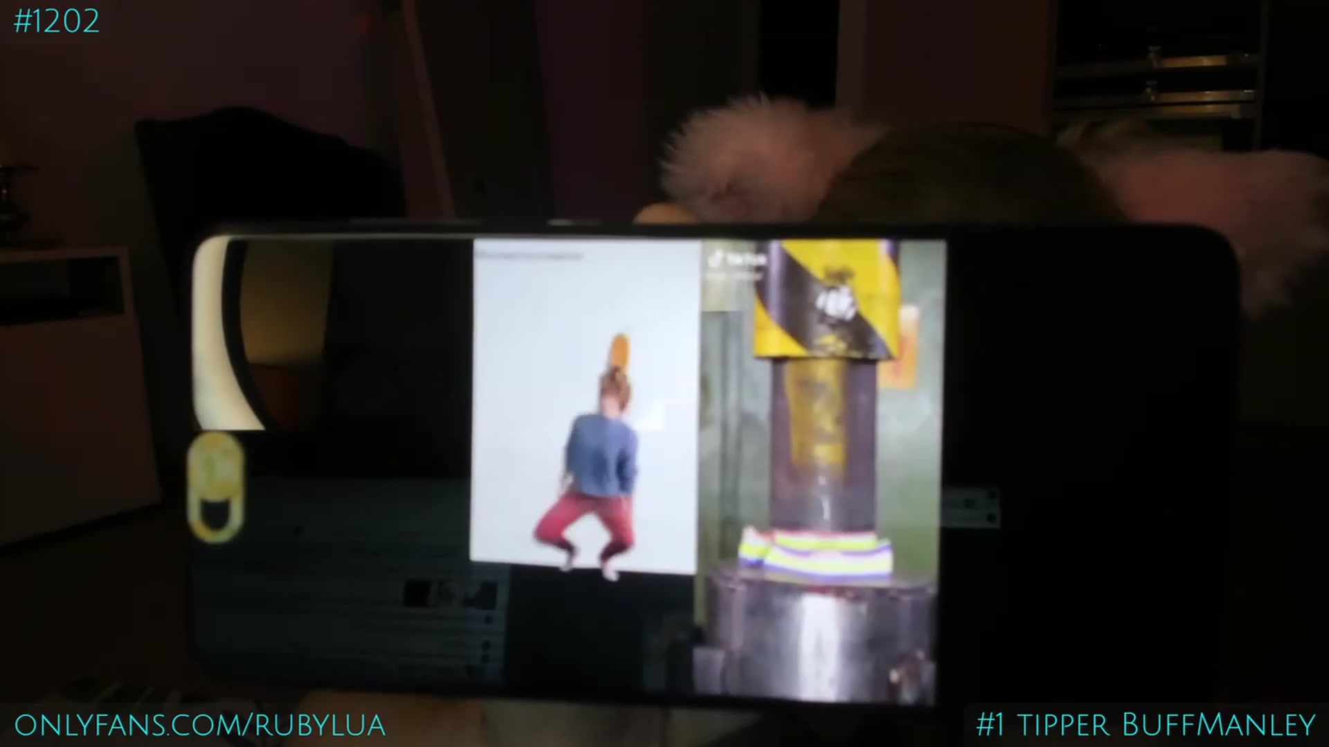 Gallery image thumbnail from Ruby_Lua's myfreecams stream on, 01/28/2023, 24:11 image 15 of 20