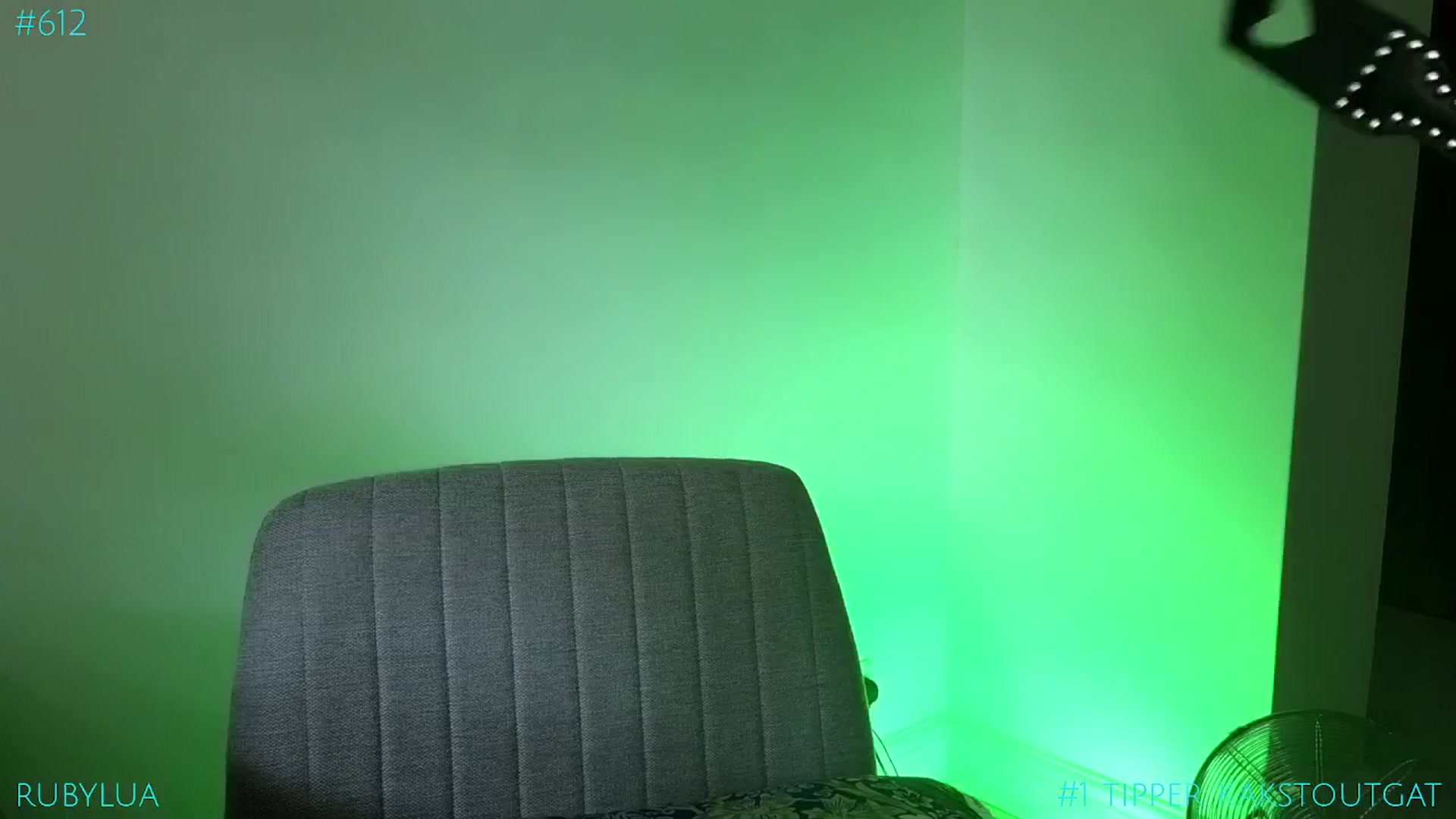 Gallery image thumbnail from Ruby_Lua's myfreecams stream on, 07/01/2025, 13:01 image 2 of 20