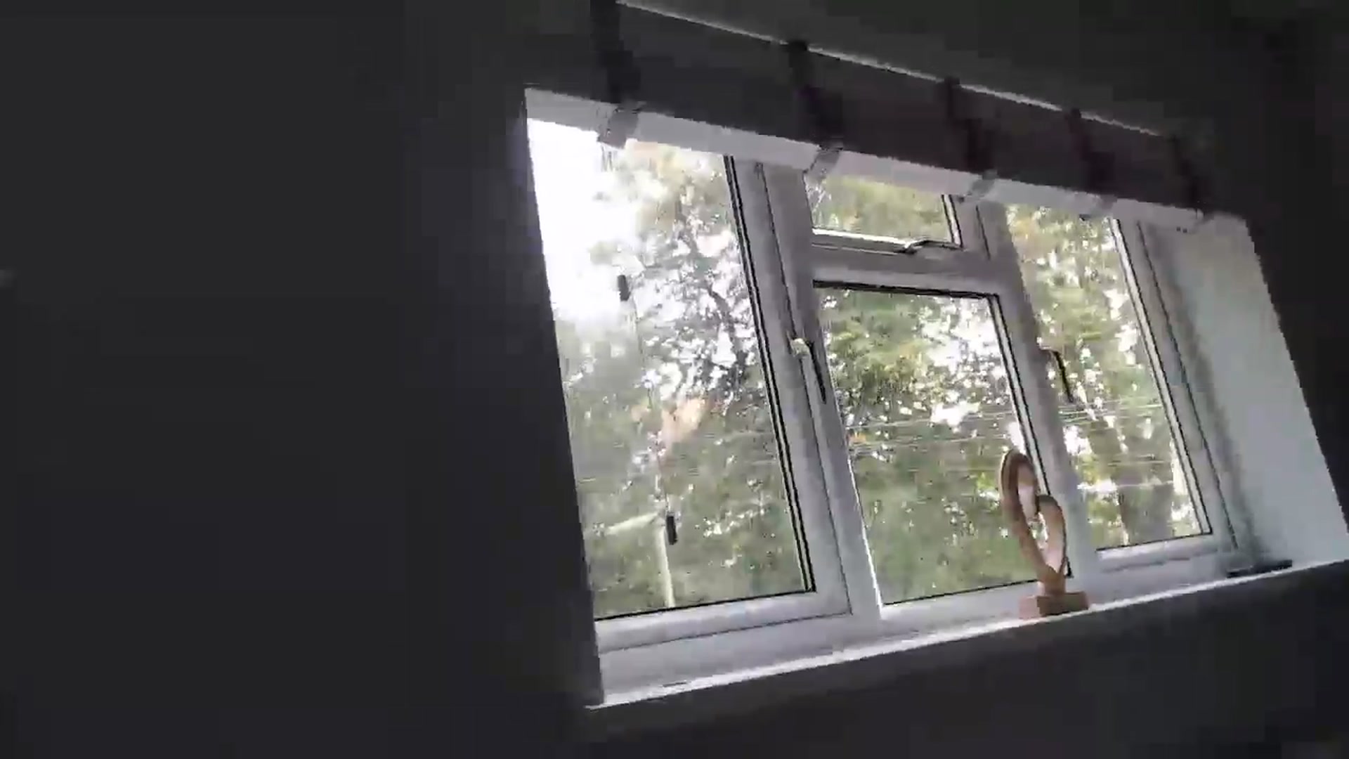 Gallery image thumbnail from Ruby_cutie's myfreecams stream on, 09/26/2024, 14:51 image 7 of 20