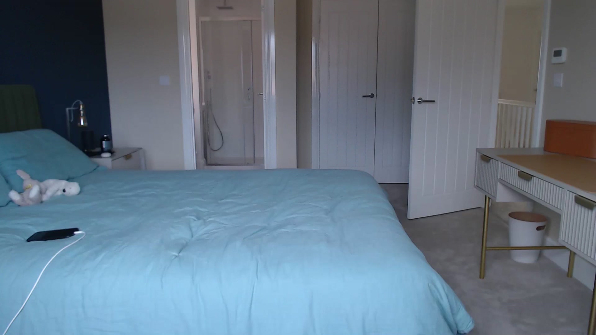 Gallery image thumbnail from Ruby_cutie's myfreecams stream on, 09/02/2025, 14:58 image 16 of 20
