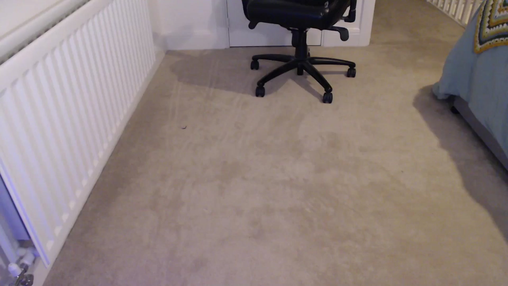 Gallery image thumbnail from Ruby_cutie's myfreecams stream on, 12/15/2025, 24:03 image 13 of 20