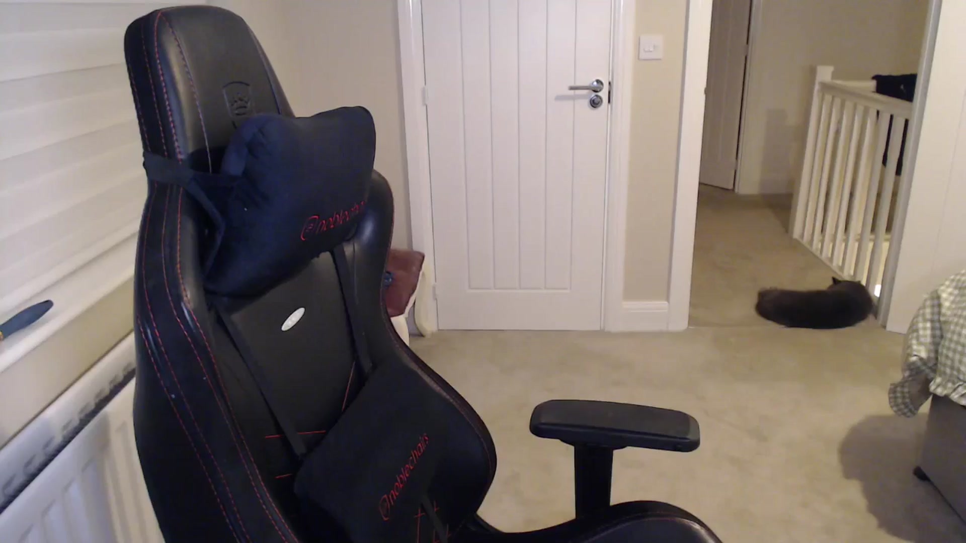 Gallery image thumbnail from Ruby_cutie's myfreecams stream on, 02/11/2026, 24:36 image 4 of 20