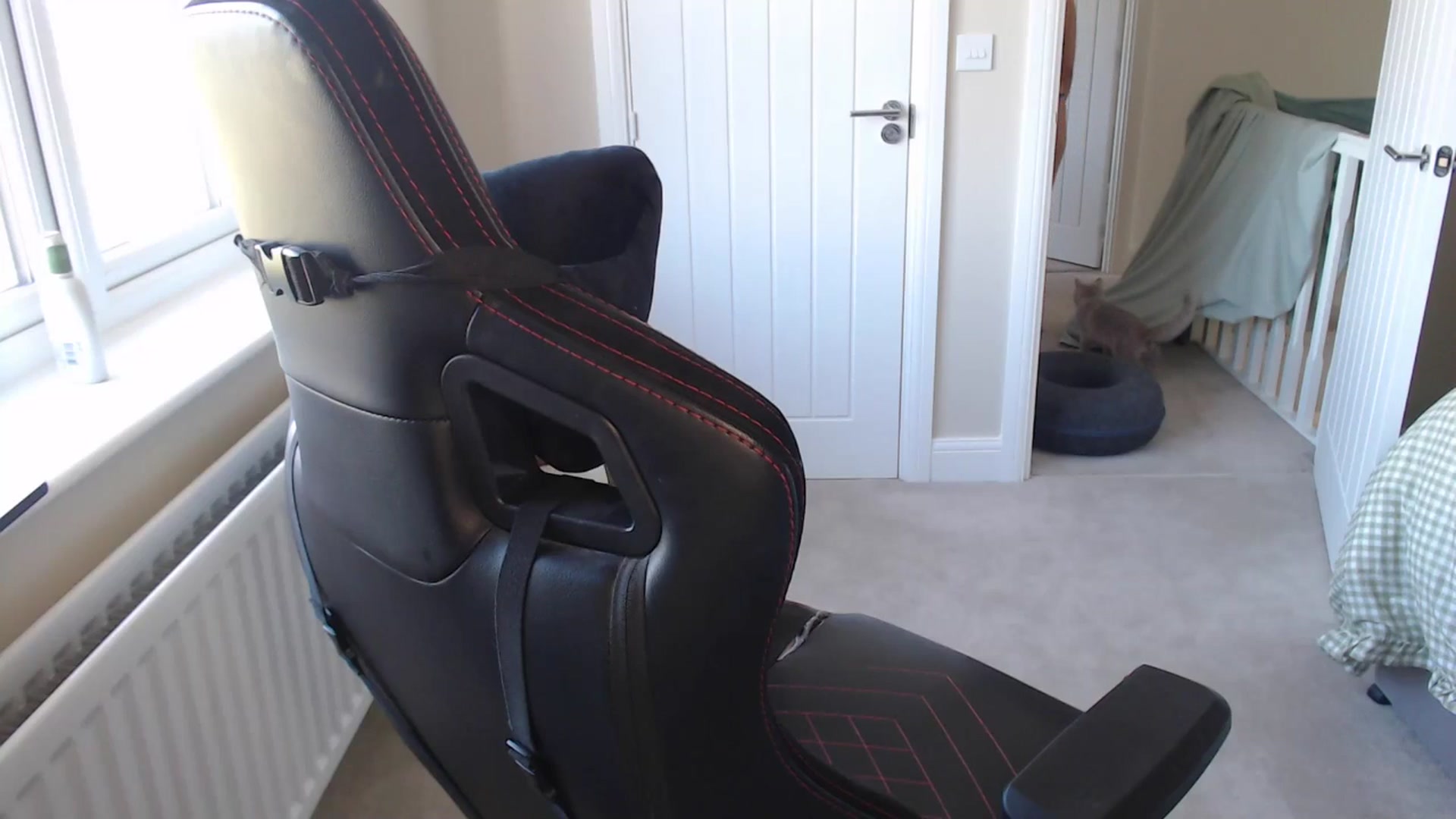 Gallery image thumbnail from Ruby_cutie's myfreecams stream on, 04/07/2026, 13:54 image 19 of 20