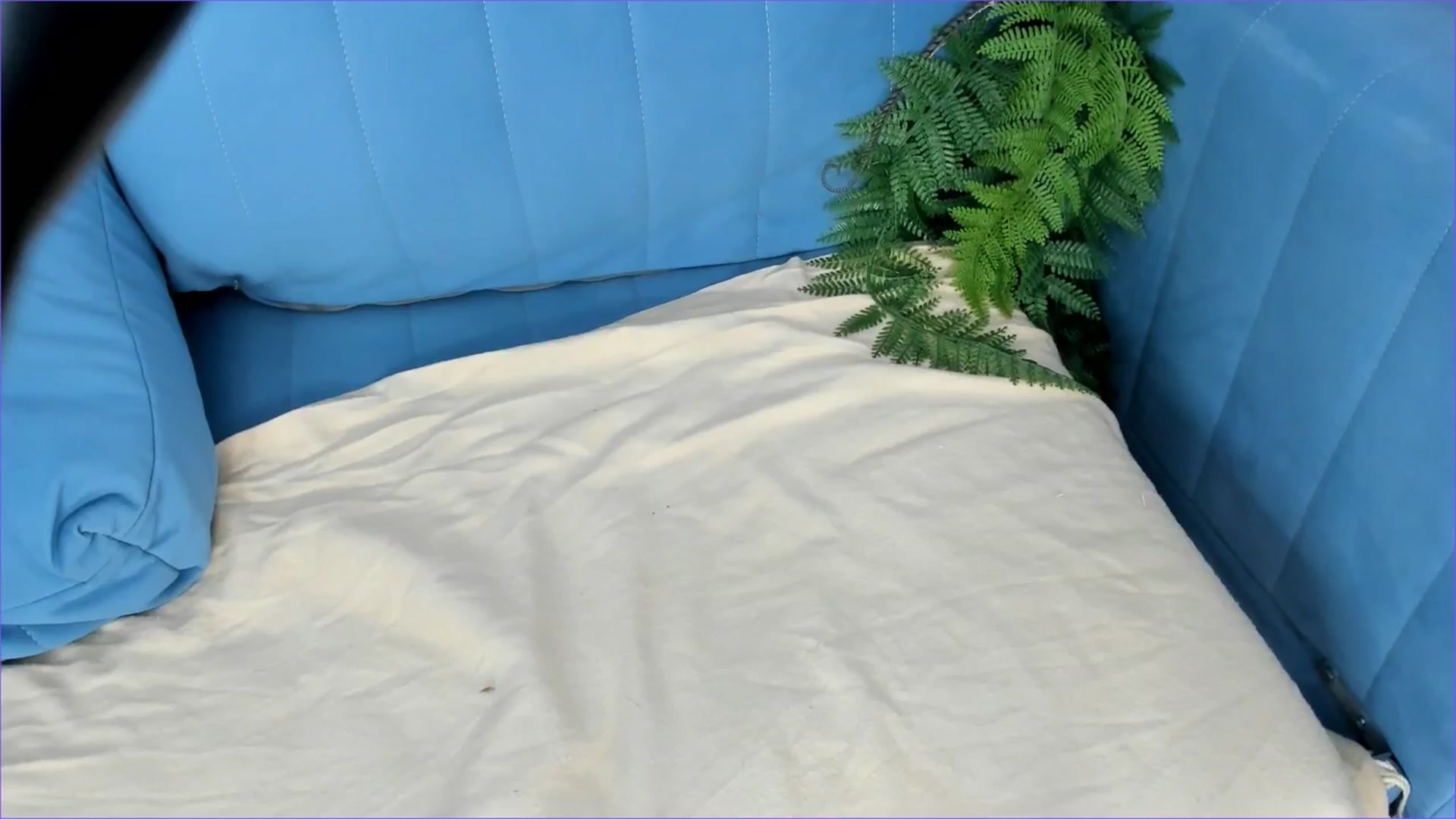 Gallery image thumbnail from Rue_Lane's myfreecams stream on, 05/12/2025, 07:46 image 7 of 20