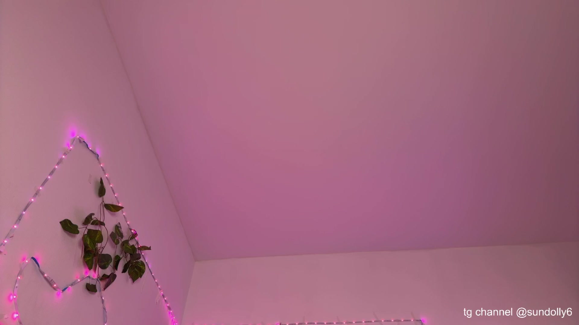 Gallery image thumbnail from Rue_Lane's myfreecams stream on, 11/14/2025, 19:11 image 19 of 20