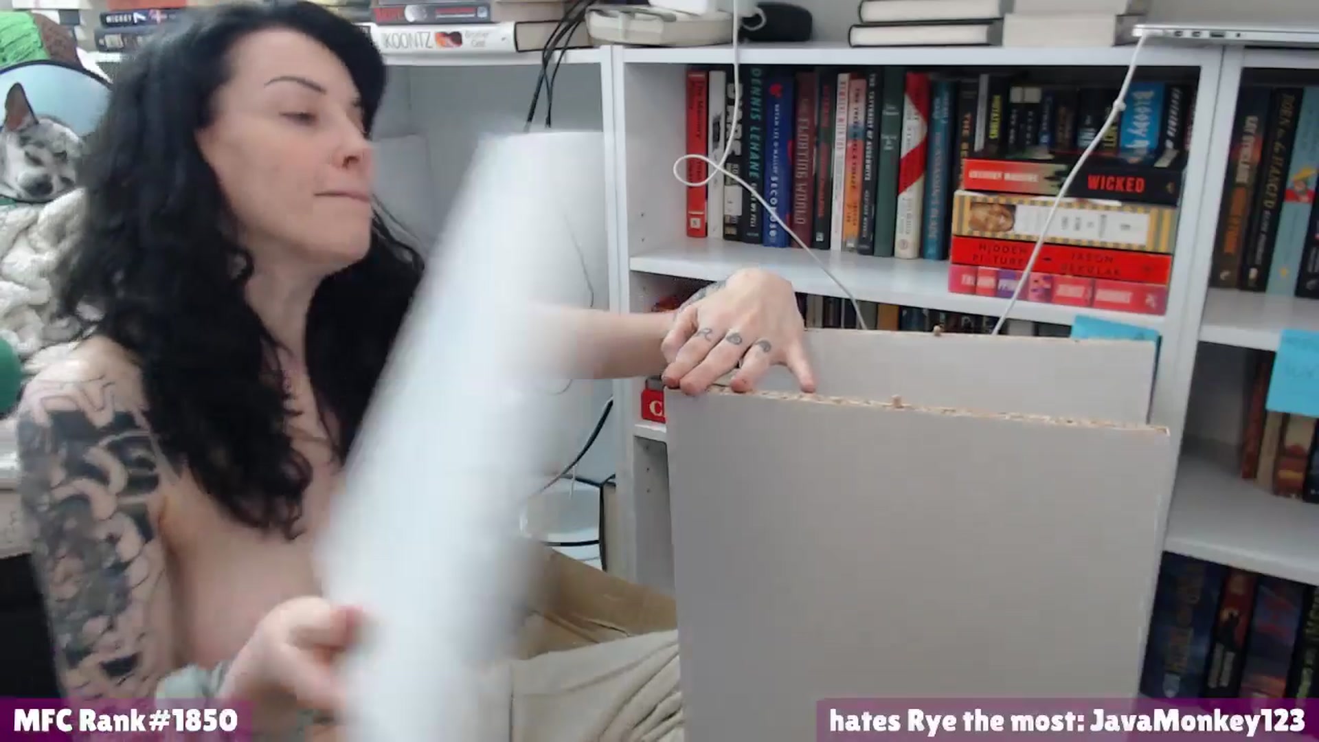 Gallery image thumbnail from Rylandbaby's myfreecams stream on, 07/09/2025, 20:55 image 7 of 20