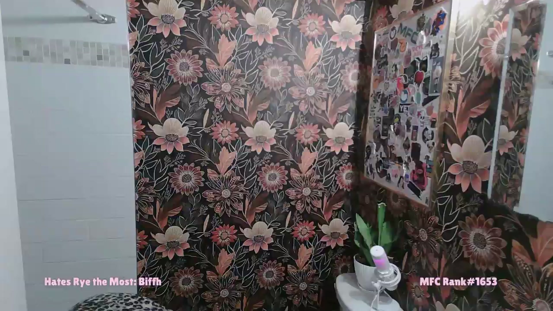 Gallery image thumbnail from Rylandbaby's myfreecams stream on, 06/11/2026, 15:59 image 11 of 20