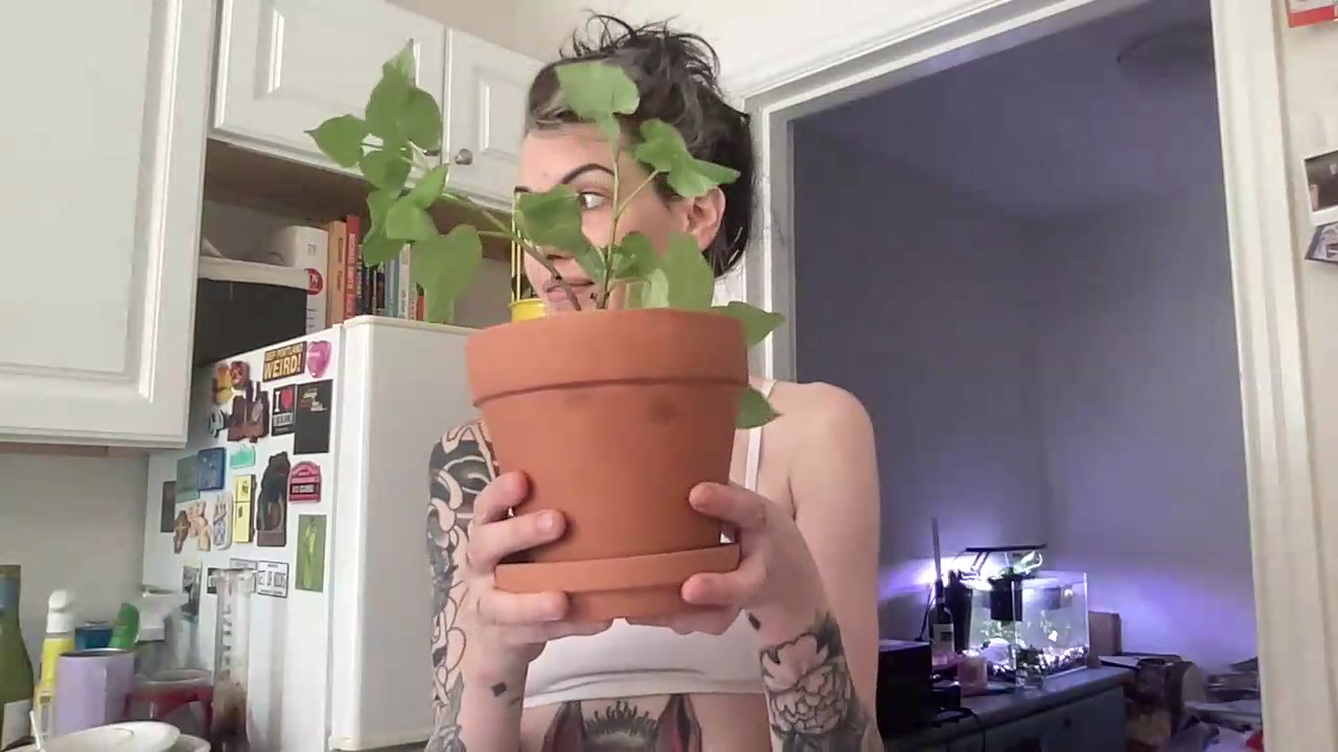 Gallery image thumbnail from Rylandbaby's myfreecams stream on, 07/03/2026, 18:52 image 2 of 20