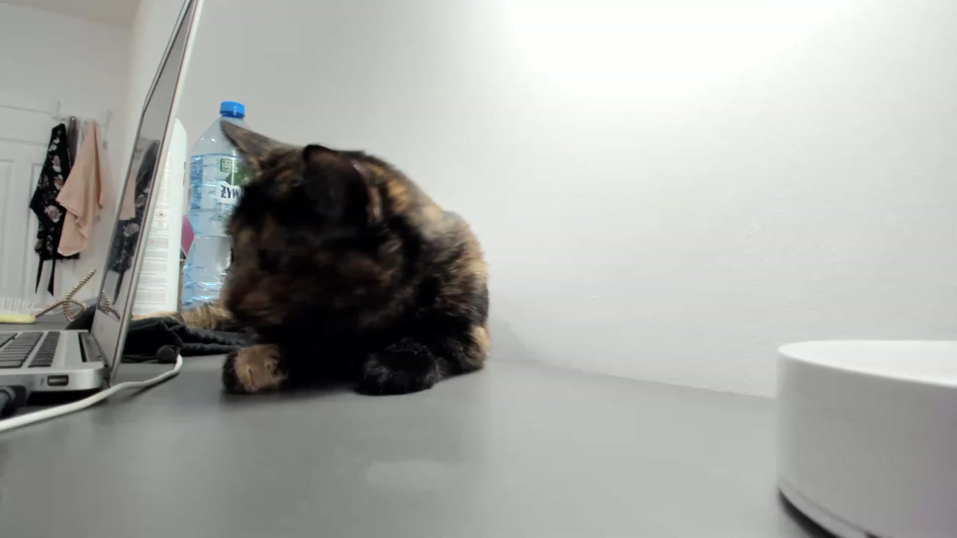 Gallery image thumbnail from SAINT_M's myfreecams stream on, 03/31/2023, 21:47 image 6 of 20