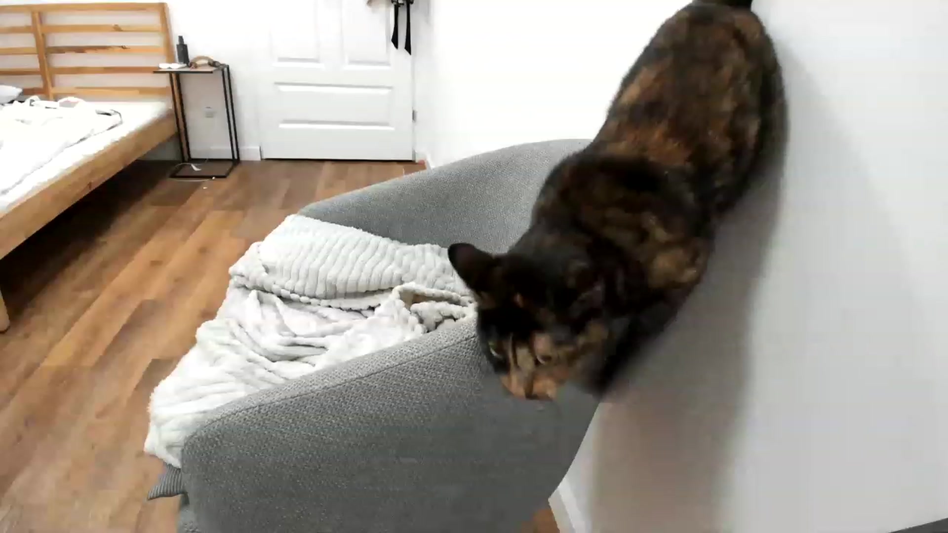 Gallery image thumbnail from SAINT_M's myfreecams stream on, 05/08/2023, 23:39 image 20 of 20