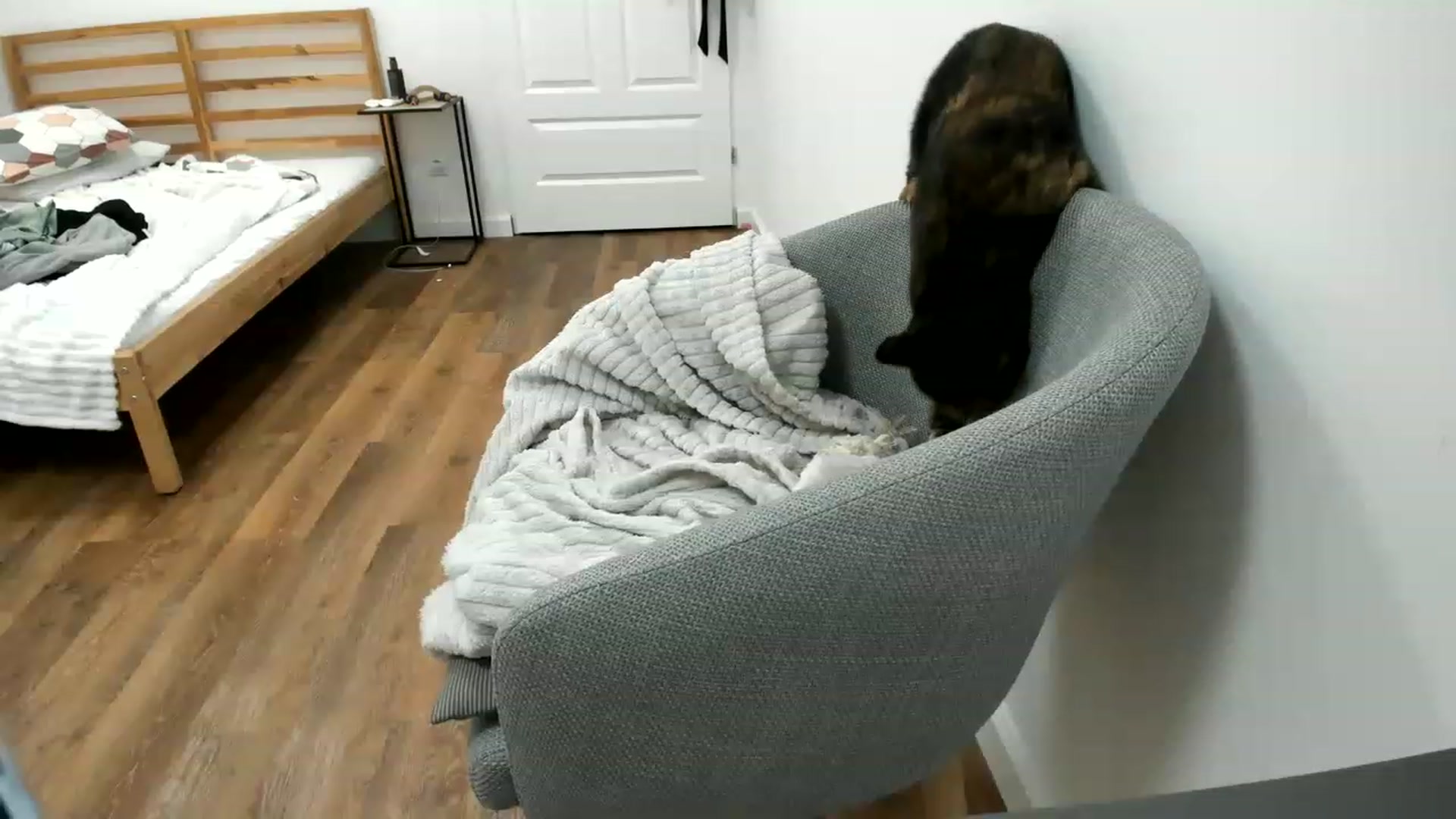 Gallery image thumbnail from SAINT_M's myfreecams stream on, 05/08/2023, 23:39 image 13 of 20