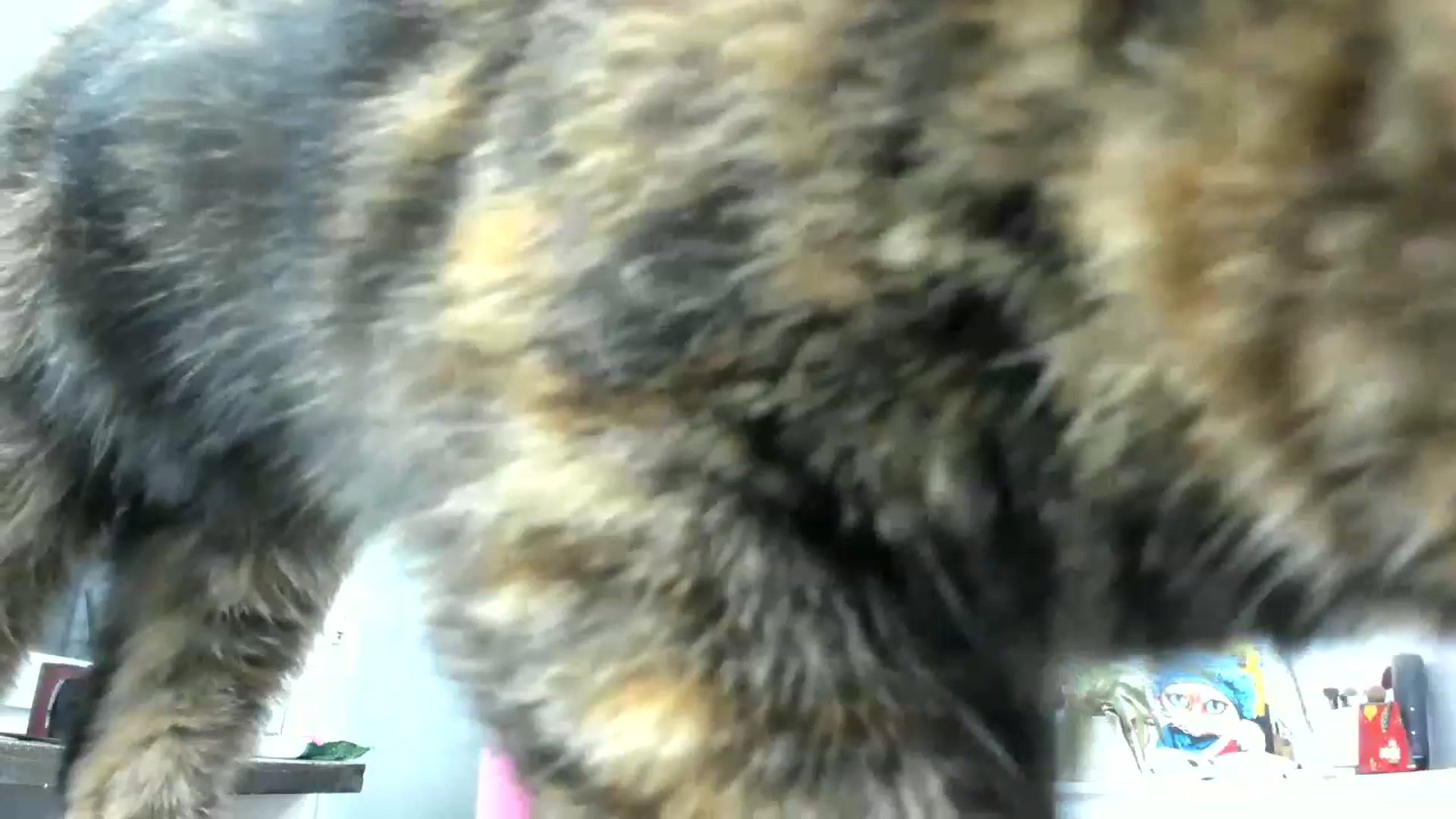 Gallery image thumbnail from SAINT_M's myfreecams stream on, 05/23/2023, 21:54 image 10 of 20