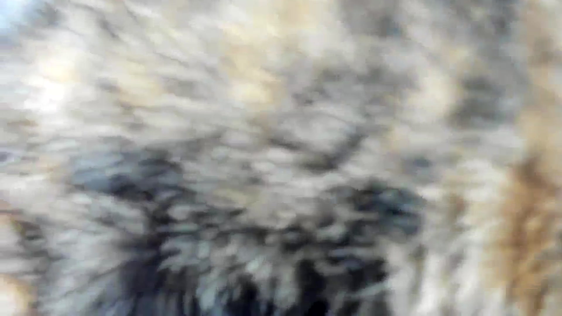 Gallery image thumbnail from SAINT_M's myfreecams stream on, 02/16/2024, 23:20 image 17 of 20