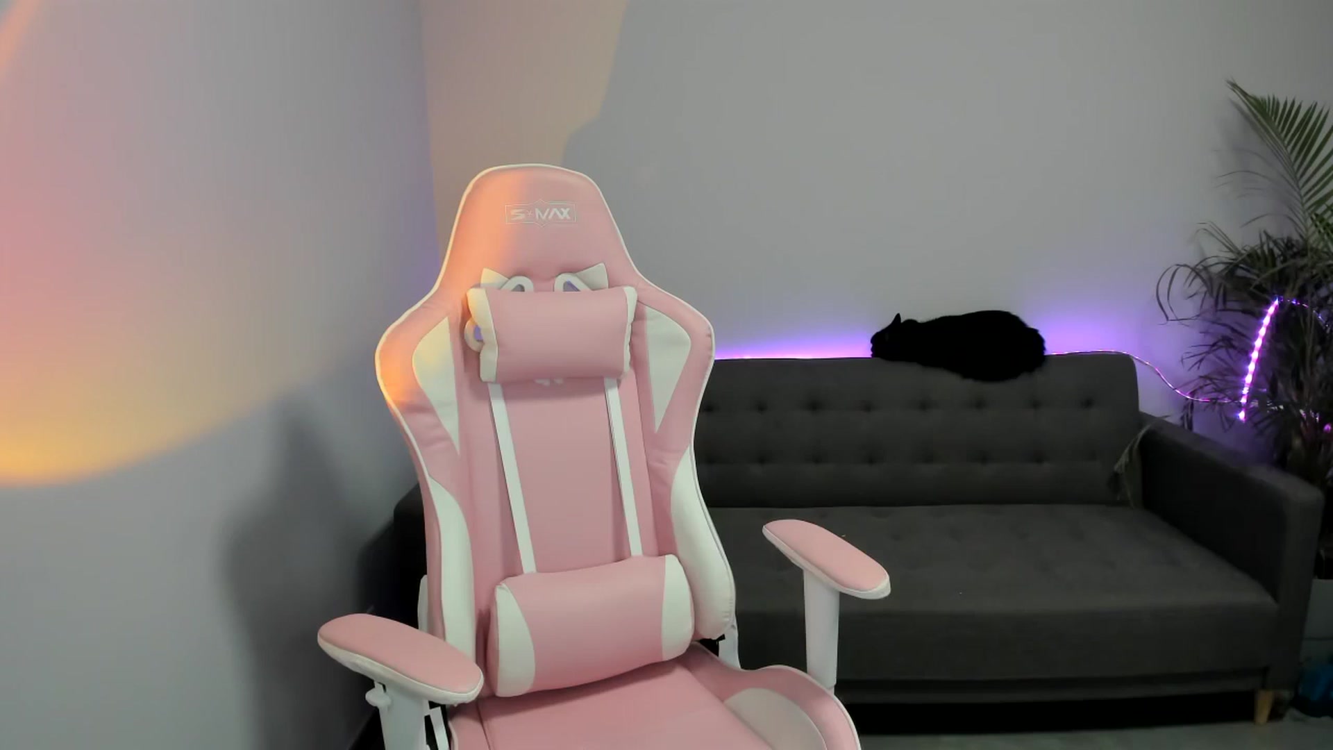 Gallery image thumbnail from SAINT_M's myfreecams stream on, 02/27/2024, 24:01 image 8 of 20