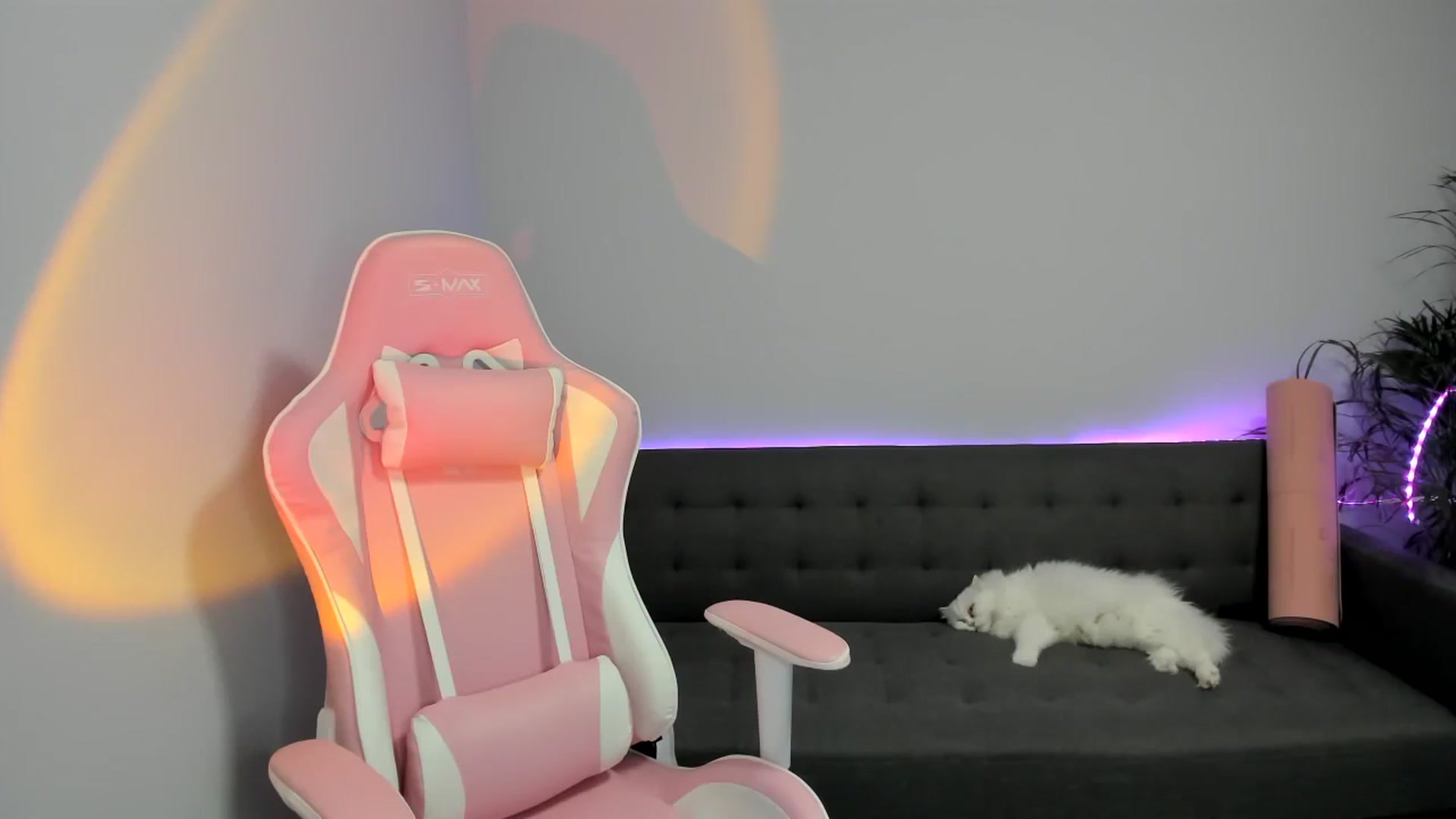 Gallery image thumbnail from SAINT_M's myfreecams stream on, 03/07/2024, 23:53 image 13 of 20