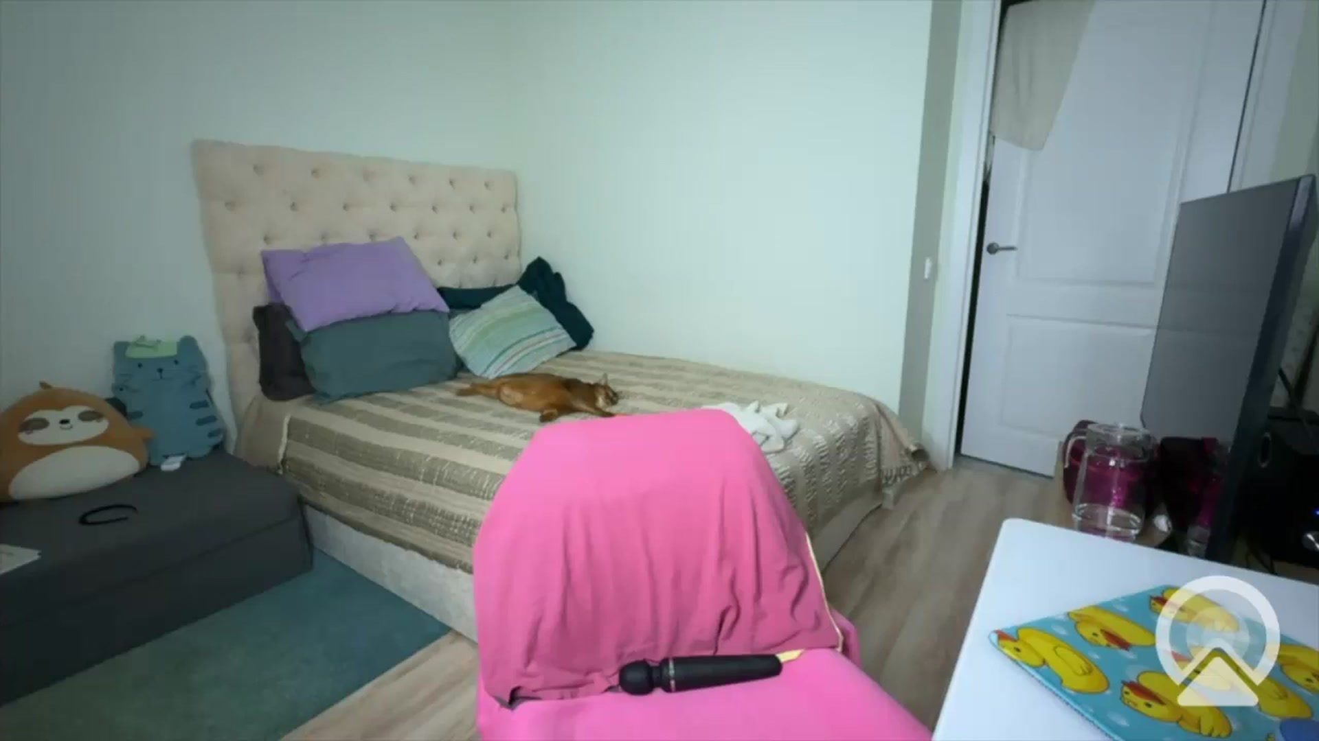 Gallery image thumbnail from SEDUCTIVmiss's myfreecams stream on, 07/15/2024, 10:14 image 13 of 20