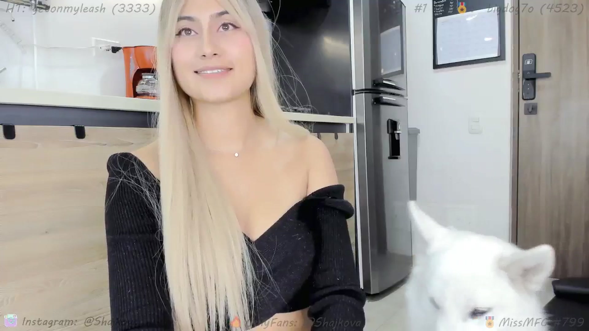 Gallery image thumbnail from SHajkova's myfreecams stream on, 03/16/2024, 04:32 image 5 of 20