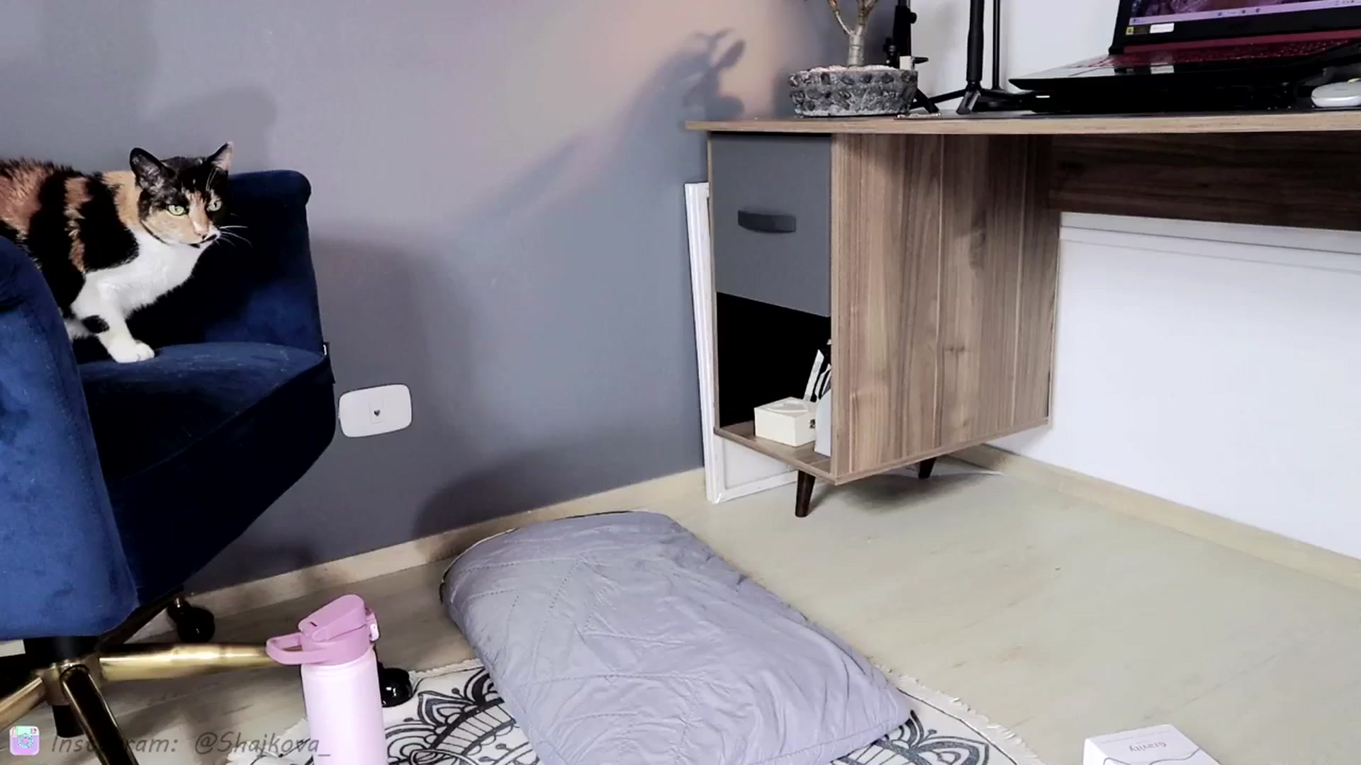 Gallery image thumbnail from SHajkova's myfreecams stream on, 11/18/2024, 01:38 image 13 of 20