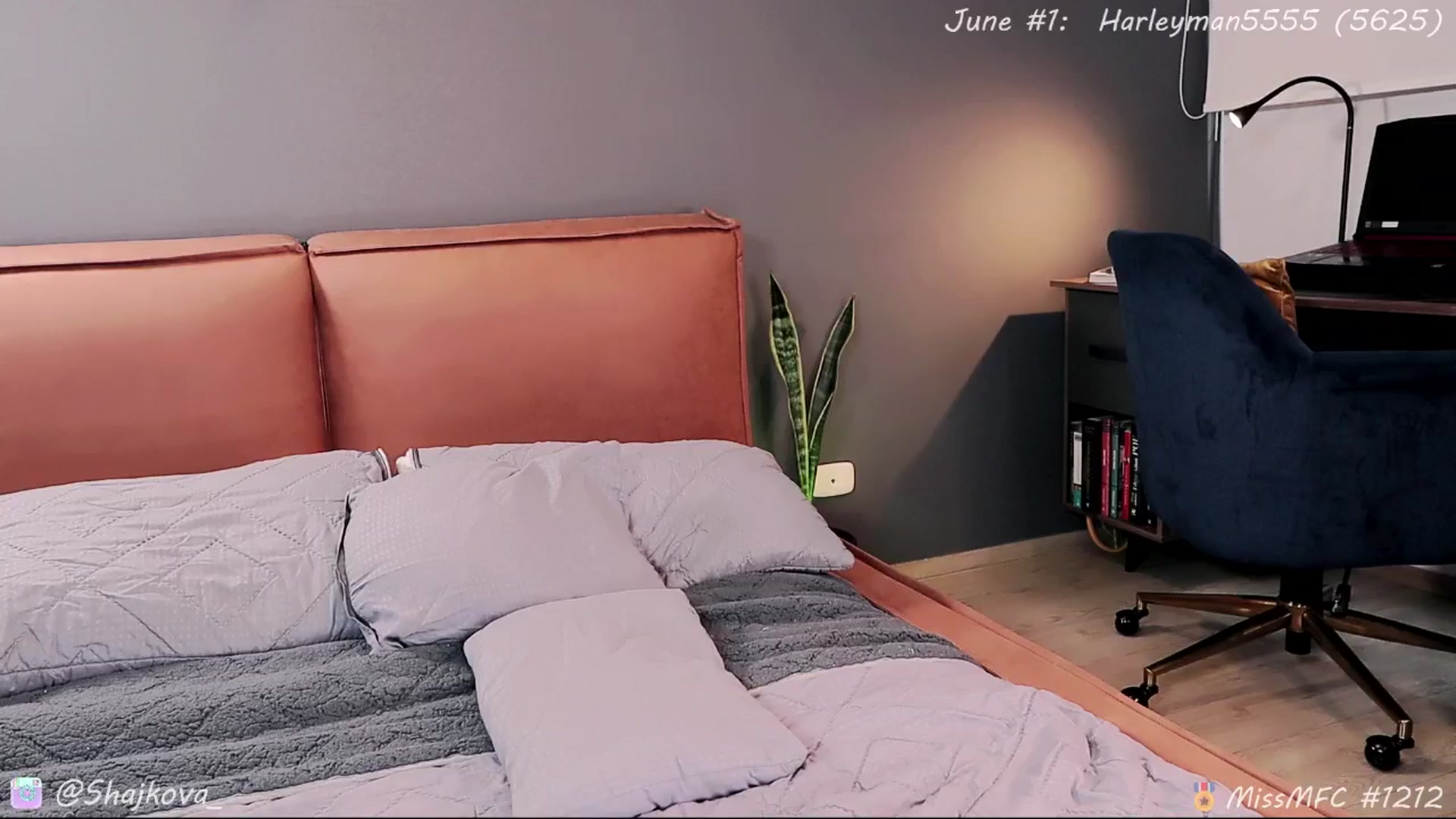Gallery image thumbnail from SHajkova's myfreecams stream on, 06/17/2025, 17:22 image 10 of 20