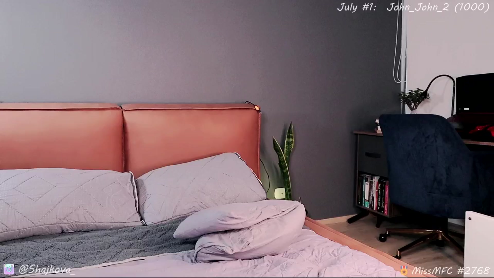 Gallery image thumbnail from SHajkova's myfreecams stream on, 07/14/2025, 17:54 image 9 of 20