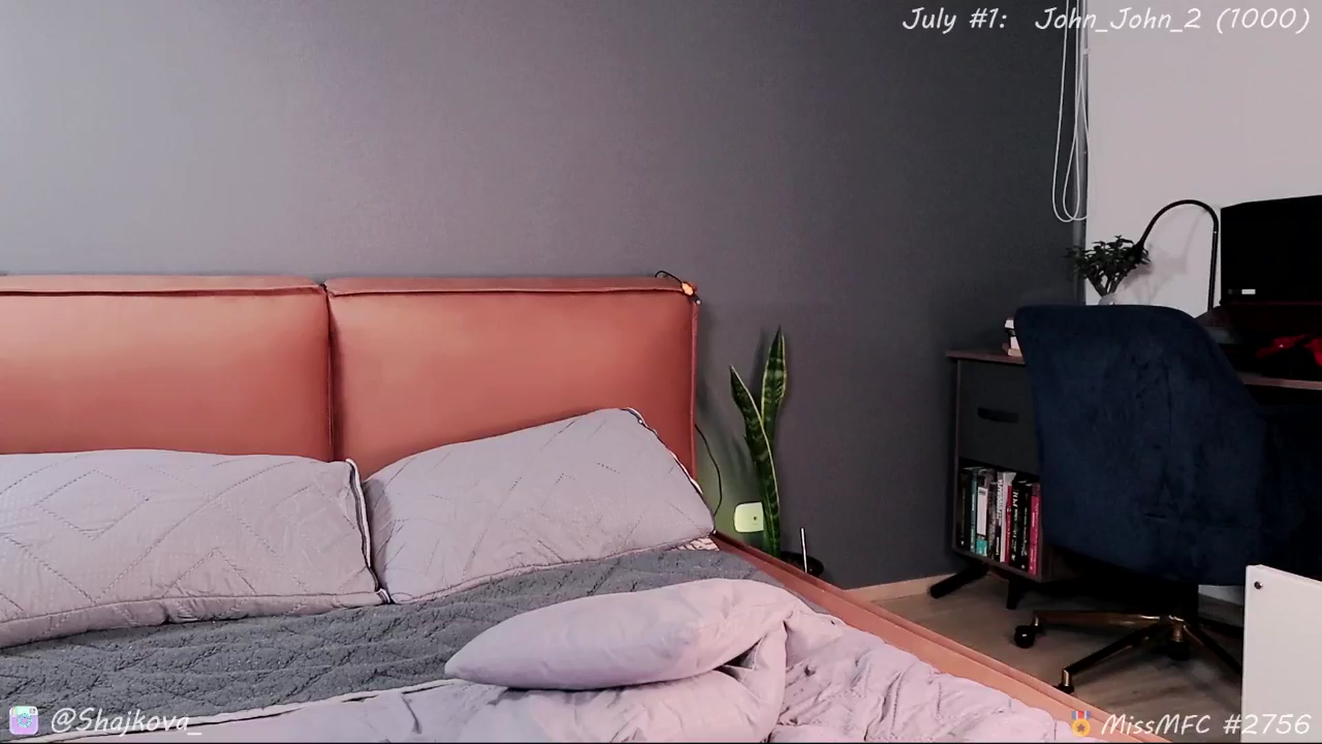 Gallery image thumbnail from SHajkova's myfreecams stream on, 07/14/2025, 17:54 image 15 of 20
