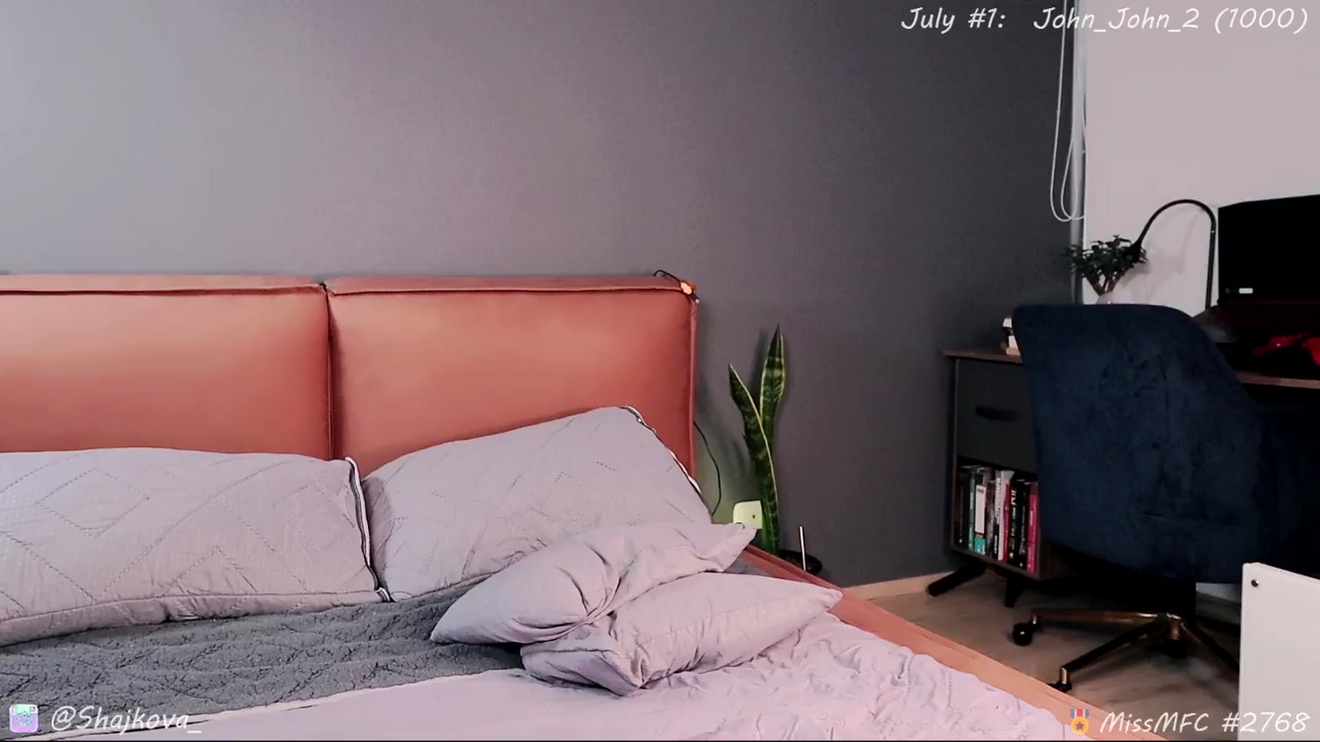 Gallery image thumbnail from SHajkova's myfreecams stream on, 07/14/2025, 17:54 image 5 of 20
