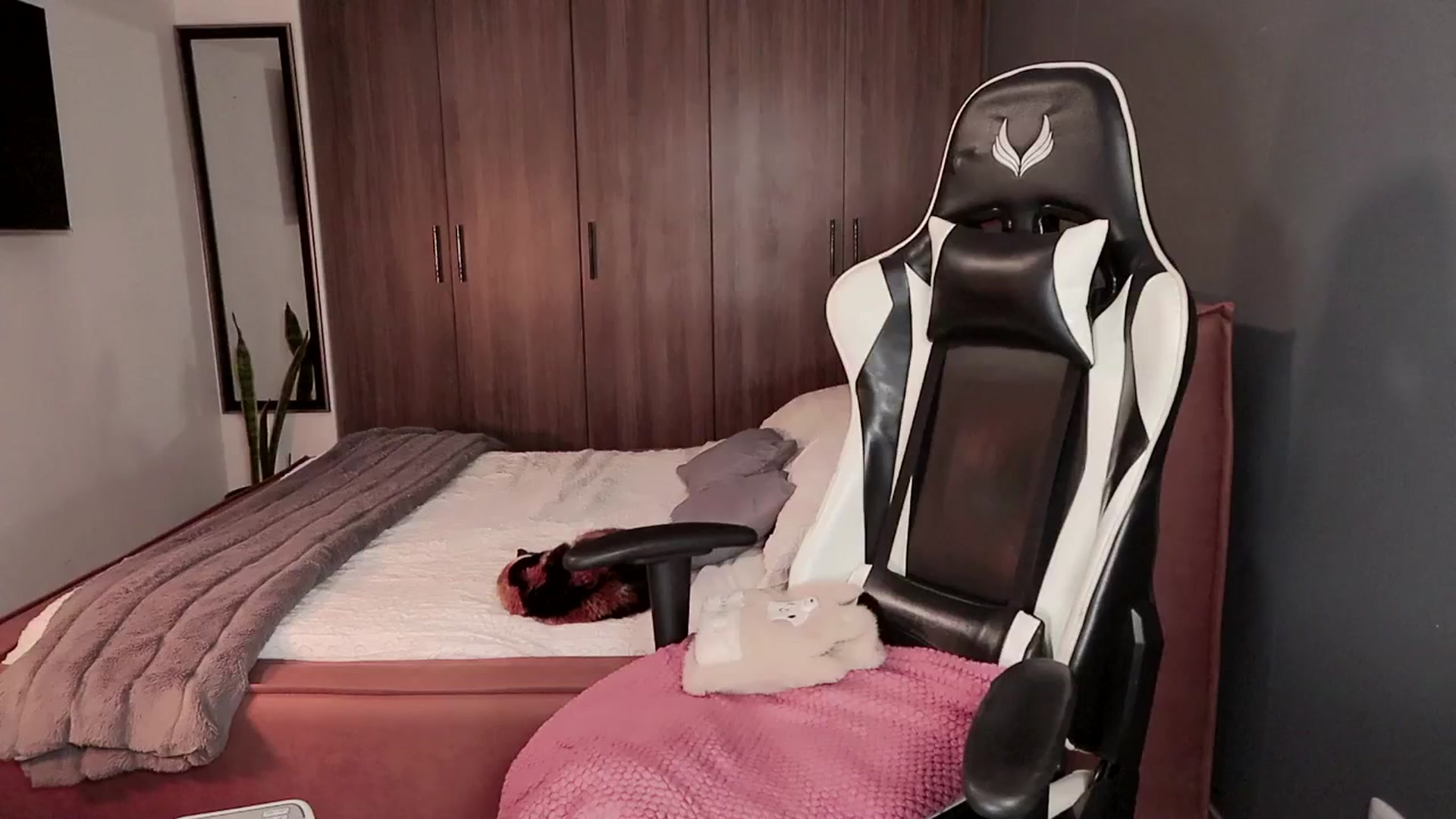Gallery image thumbnail from SHajkova's myfreecams stream on, 09/23/2025, 17:21 image 16 of 20