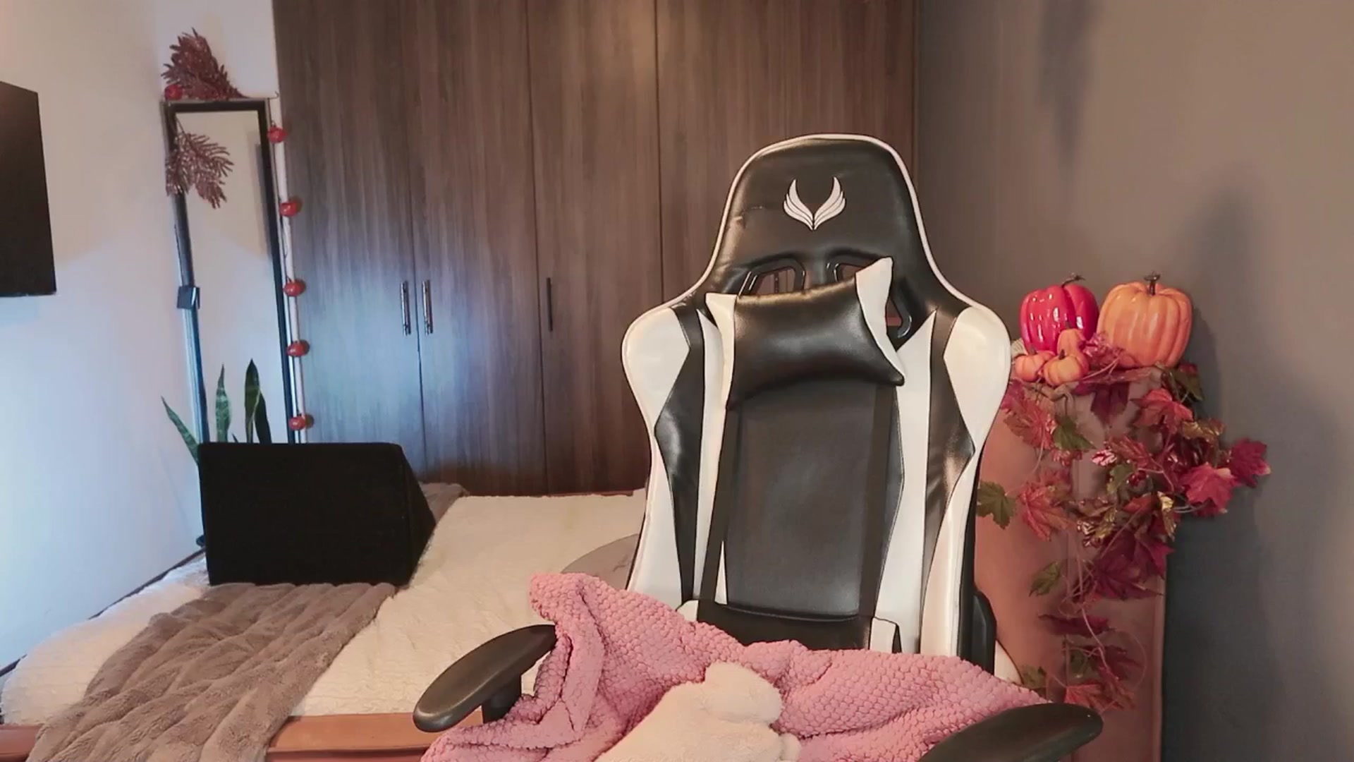 Gallery image thumbnail from SHajkova's myfreecams stream on, 10/22/2025, 24:10 image 11 of 20