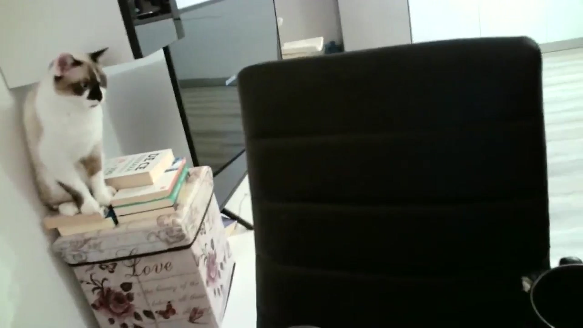 Gallery image thumbnail from SILKYWOMAN's myfreecams stream on, 10/26/2024, 19:20 image 13 of 20