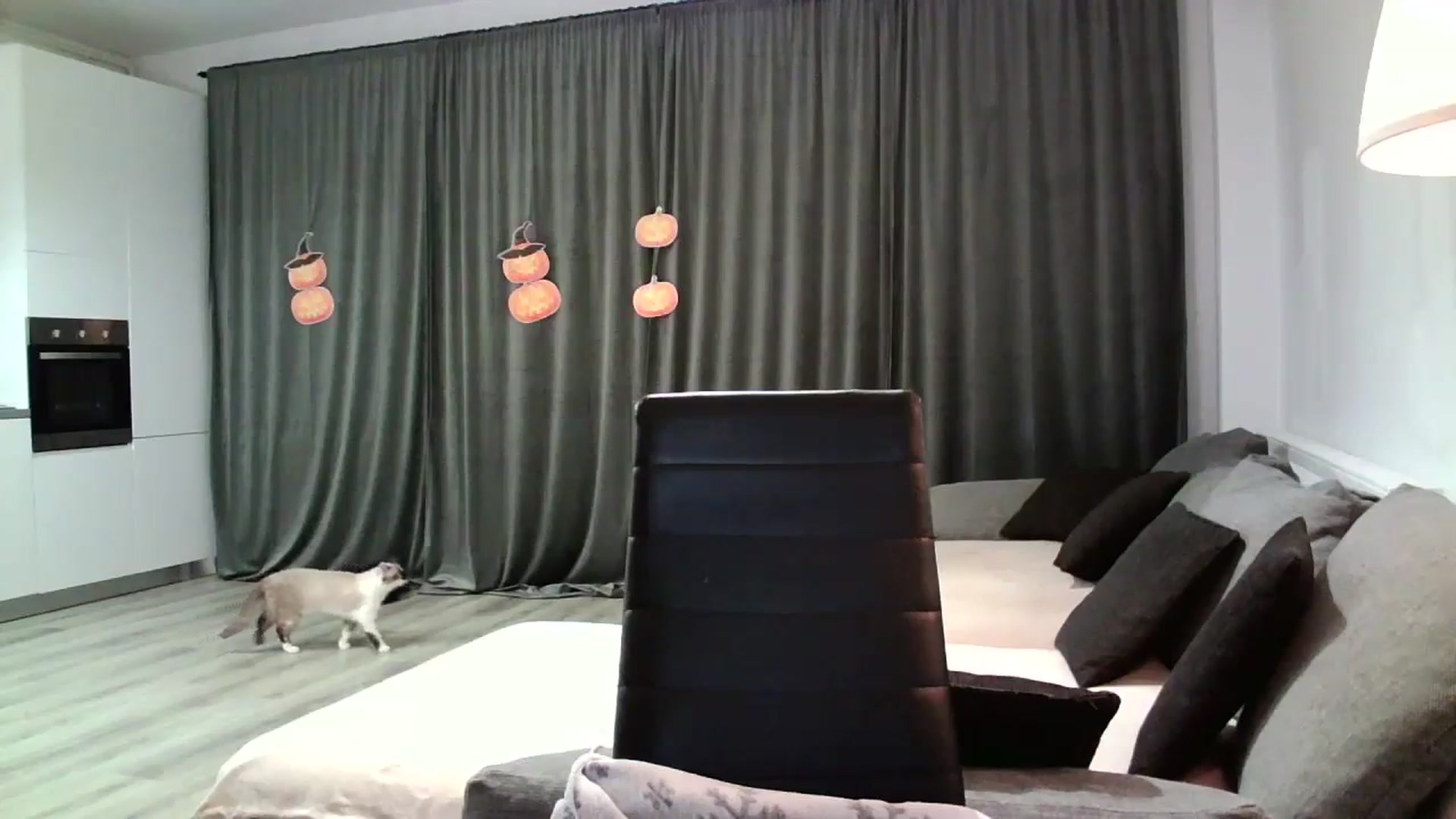 Gallery image thumbnail from SILKYWOMAN's myfreecams stream on, 10/31/2024, 17:48 image 20 of 20