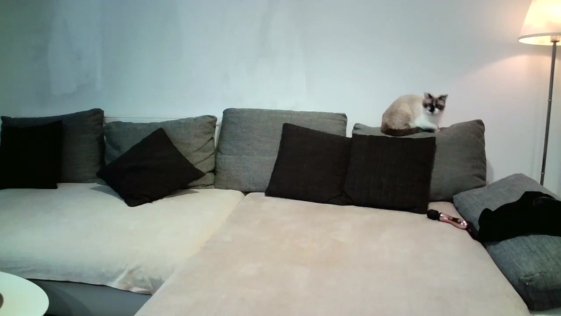 Gallery image thumbnail from SILKYWOMAN's myfreecams stream on, 05/11/2025, 17:40 image 20 of 20